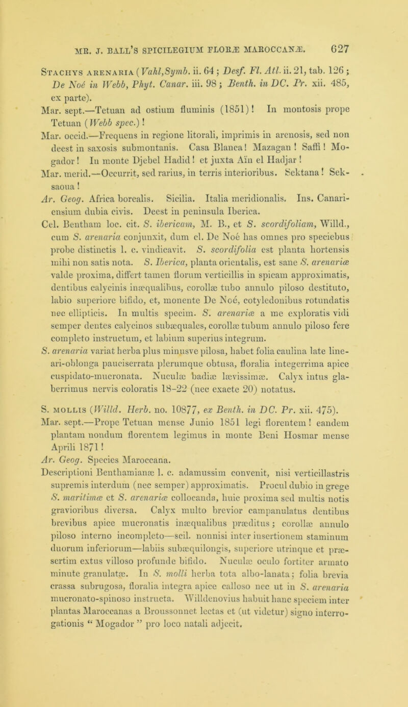 Stachys arenaria (Vahl,Symb. ii. 64 ; Desf. FI. Atl. ii. 21, tab. 126; De Noe in Webb, Phyt. Canar. iii. 98; Benth. in DC. Pr. xii. 485, ex parte). Mar. sept.—1Tetuan ad ostium fluminis (1851)! In montosis prope Tetuan ( Webb spec.)! Mar. occid.—Frequens in regione litorali, imprimis in arenosis, sed non deest in saxosis submontanis. Casa Blanca! Mazagan ! Saffi ! Mo- gador! In monte Djebel Hadid! ct juxta Ain el Iladjar ! Mar. merid.—Occurrit, scd rarius, in terris interioribus. Sektana ! Sek- saoua! Ar. Geog. Africa borealis. Sicilia. Italia meridionalis. Ins. Canari- ensium dubia civis. Deest in peninsula Iberica. Cel. Bentham loc. cit. S. ibericum, M. B., et S. scordifoliam, Willd., cum S. arenaria conjunxit, dum cl. De Noe has omnes pro speciebus probe distinctis 1. c. vindicavit. S. scordifolia est planta liortensis mihi non satis nota. S. Iberica, planta orientalis, est sane S. arenarice valde proxima, differt tamen ilorum verticillis in spicam approximatis, dentibus calycinis inacqualibus, corollae tubo annulo piloso destituto, labio superiore bifido, et, monente De Noe, cotylcdonibus rotundatis nec ellipticis. In multis specim. S. arenarice a me exploratis vidi semper dentes calycinos subsequales, corollae tubum annulo piloso fere completo instructum, et labium superius integrum. S. arenaria variat herba plus minusve pilosa, habet folia caulina late line- ari-oblonga pauciserrata pleruinque obtusa, floralia integerrima apice cuspidato-mucronata. Nuculac badiae laevissimae. Calyx intus gla- berrimus nereis coloratis 18-22 (nee exacte 20) notatus. S. mollis (Willd. Herb. no. 10877, ex Benth. in DC. Pr. xii. 475). Mar. sept.—Prope Tetuan mense Junio 1851 legi florentem! eandem plantain noiulura florentem legimus in monte Beni Ilosmar mense Aprili 1871 ! Ar. Geog. Species Maroccana. Descriptioni Benthamianre 1. c. adamussim convenit, nisi verticillastris supremis interdum (nec semper) approximatis. Procul dubio in grege S. maritirncc ct S. arenarice colloeanda, liuic proxima sed multis notis gravioribus diversa. Calyx multo brevior campanulatus dentibus brevibus apice mucronatis imequalibus praeditus; corollnc annulo jiiloso interno incomplcto—scil. nonnisi inter insertionem staminum duorum inferiorum—labiis subacquilongis, superiore utrinque et pra> sertim extus villoso profunde bifido. Nuculae oculo fortiter armato minute granulatae. In S. molli herba tota albo-lanata; folia brevia crassa subrugosa, floralia integra apice calloso ncc ut in S. arenaria mucronato-spinoso instructa. Willdenovius liabuit banc spcciem inter plantas Maroccanas a Broussonnet lectas et (ut videtur) signo iuterro- gationis “ Mogador ” pro loco natali adjecit.