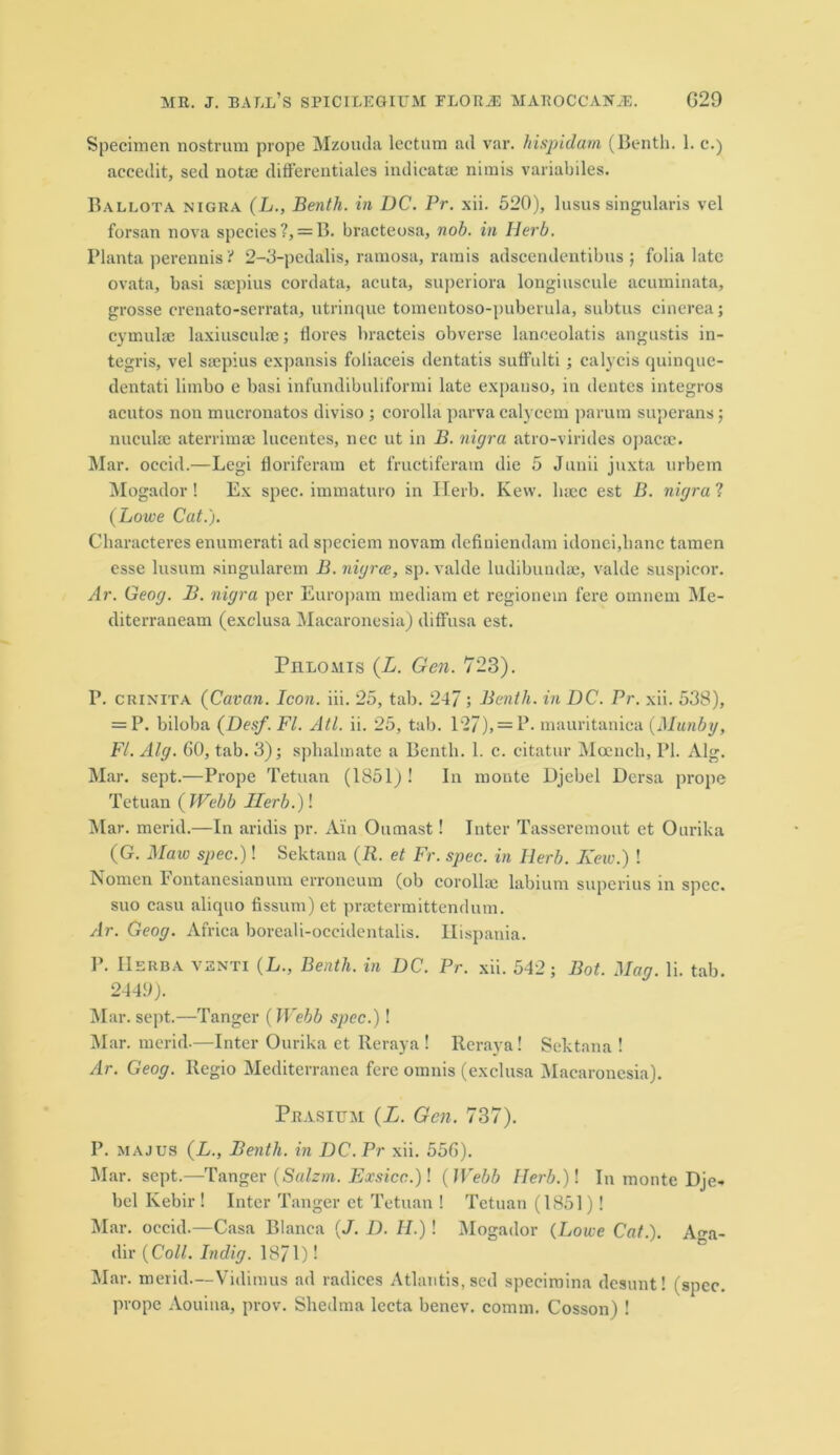 Specimen nostrum prope Mzouda lectum ad var. hispidam (Bentli. 1. c.) accedit, sed notae ditferentiales indicatae nimis variabiles. Ballota nigra (L., Benth. in DC. Pr. xii. 520), lusus singularis vel forsan nova species?, = B. bracteosa, nob. in Herb. Planta perennis? 2-3-pedalis, ramosa, ramis adscendentibus ; folia late ovata, basi saepius cordata, acuta, superiora longiuscule acuminata, grosse crenato-serrata, utrinque tomentoso-puberula, subtus cinerea; cymulae laxiusculse; flores bracteis obverse lanceolatis angustis in- tegris, vel saepius expansis foliaceis dentatis suffulti ; calycis quinque- dentati limbo e basi infundibuliformi late expanso, in dentes integros acntos non mucronatos diviso ; corolla parva calycem parum superans ; nuculae aterrimse lucentes, nec ut in B. nigra atro-virides opacae. Mar. occid.—Legi floriferam et fructiferam die 5 Junii jnxta urbem Mogador ! Ex spec, immaturo in Herb. Kew. liacc est B. nigra ? (Lowe Cat.). Characteres enumerati ad speciem novam defiuiendam idonei,lianc tamen esse lusum singularem B. nigrce, sp. valde ludibundae, valde suspieor. Ar. Geog. B. nigra per Europam mediam et regionein fere omnem Me- diterraneam (exclusa Macaronesia) diffusa est. Piilomis (L. Gen. 723). P. crinita (Cavan. Icon. iii. 25, tab. 247 ; Benth. in DC. Pr. xii. 538), = P. biloba (Desf. FI. Atl. ii. 25, tab. 127), = P- mauritaniea (Munby, FI. Alg. 60, tab. 3); splialinate a Benth. 1. c. citatur Moench, l’l. Alg. Mar. sept.—Prope Tetuan (1851)! In monte Djebel Dersa prope Tetuan (Webb IIerb.)\ Mar. merid.—In aridis pr. Ain Oumast! Inter Tasseremout et Ourika (G. Maw spec.)! Sektana (R. et Fr. spec, in Herb. Keio.) ! Nomen Fontanesianum erroneum (ob corollae labium superius in spec, suo casu aliquo fissum) et praetermittendum. Ar. Geog. Africa boreali-occidentalis. Hispania. P. IIerba V3nti (L., Benth. in DC. Pr. xii. 542; Bot. Mag. li. tab. 2449). Mar. sept.—Tanger (Webb spec.)! Mar. merid.—Inter Ourika et Reraya ! Reraya! Sektana ! Ar. Geog. Regio Mediterranea fere omnis (exclusa Macaronesia). Prasium (L. Gen. 737). P. majus (L., Benth. in DC.Pr xii. 556). Mar. sept.—Tanger (Salzrn. Exsicc.)! ( Webb Herb.) I In monte Pje- bel Kebir ! Inter Tanger et Tetuan ! Tetuan (1851) ! Mar. occid.—Casa Blanca (J. D. II.)! Mogador (Lowe Cat.). Aga- dir (Coll. Indig. 1871)! Mar. merid.—Vidimus ad radices Atlantis, sed specimina desunt! (spec, prope Aouina, prov. Shedma lccta benev. comm. Cosson) !