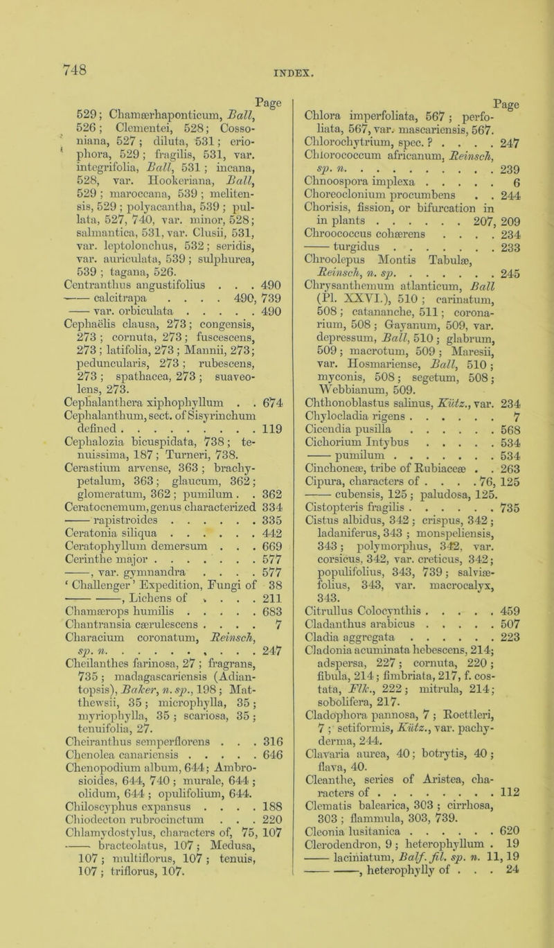 529; Chamaerhaponticum, Ball, 526; Clementei, 528; Cosso- niana, 527 ; cliluta, 531; erio- 1 phora, 529; fragilis, 531, var. integrifolia, Ball, 531; incana, 528, var. Hookeriana, Ball, 529 ; maroccana, 539 ; meliten- sis, 529 ; polyacantha, 539 ; pul- lata, 527, 740, var. minor, 528; salmantica, 531, var. Clusii, 531, var. lcptolonchus, 532; seridis, var. auriculata, 539 ; sulpliurea, 539 ; tagana, 526. Centranthus angustifolius . . . 490 calcitrapa .... 490, 739 var. orbiculata 490 Cephaelis clausa, 273; congensis, 273 ; cornuta, 273 ; fuscescens, 273 ; latifolia, 273 ; Mannii, 273; peduncularis, 273 ; rubescens, 273 ; spathacea, 273 ; suaveo- lens, 273. Ceplialanthera xiphophyllum . . 674 Cephalanthum, sect, of Sisyrinchum defined 119 Ceplialozia bicuspidata, 738; te- nuissima, 187 ; Turneri, 738. Cerastium arvense, 363; bracliy- petalum, 363 ; glaucum, 362; glomeratum, 362 ; pumilum . . 362 Ceratocnemum, genus cliaracterized 334 rapistroides 335 Ceratonia siliqua 442 Ceratophyllum demersum . . . 669 Cerinthe major 577 , var. gymnandra . . . .577 ‘ Challenger’ Expedition, Fungi of 38 , Lichens of . . . . 211 Chamserops humilis 683 Chantransia cserulescens .... 7 Characium coronatum, Reinsch, sp. n 247 Cheilanthes farinosa, 27 ; fragrans, 735 ; madagascariensis (Adian- topsis), Baker, n. sp., 198; Mat- thewsii, 35; microphylla, 35; myriophylla, 35 ; scariosa, 35 ; tenuifolia, 27. Cheiranthus semperflorens . . .316 Chenolea canariensis 646 Chenopodium album, 644; Ambro- sioides, 644, 740 ; murale, 644 ; olidum, 644 ; opulifolium, 644. Chiloscyphus expansus . . . .188 Chiodecton rubrocinctum . . . 220 Chlamydostylus, characters of, 75, 107 bracteolatus, 107; Medusa, 107 ; multiflorus, 107 ; tenuis, 107 ; triflorus, 107. Page Chlora imperfoliata, 567; perfo- liata, 567, var. mascariensis, 567. Chlorochytrium, spec. ? . . . . 247 Chiorococcum africanum, Reinsch, sp. n 239 Clinoospora implexa 6 Choreoclonium procumbens . . 244 Chorisis, fission, or bifurcation in in plants 207, 209 Chroococcus cohserens .... 234 turgidus 233 Chroolepus Montis Tabulae, Reinsch, n. sp 245 Chrysanthemum atlanticum, Ball (PI. XXVI.), 510 ; earinatum, 508 ; catananche, 511; corona- rium, 508 ; Gayanum, 509, var. depressum, Ball, 510 ; glabrum, 509 ; macrotum, 509 ; Maresii, var. Hosmariense, Ball, 510; myconis, 508; segetum, 508; Webbianmn, 509. Chthonoblastus salinus, Kutz., var. 234 Chylocladia rigens 7 Cicendia pusilla Cichorium Intybus pumilum Cinchoneae, tribe of Rubiacese Cipura, characters of . 568 . 534 . 534 . 263 76, 125 ■ cubensis, 125 ; paludosa, 125. Cistopteris fragilis 735 Cistus albidus, 342 ; crispus, 342; ladaniferus, 343 ; monspeliensis, 343; polymorphus, 342, var. corsicus, 342, var. creticus, 342; populifolius, 343, 739; salvise- folius, 343, var. macrocalyx, 343. Citrullus Colocynthis 459 Cladanthus arabicus 507 Cladia aggregata 223 Cladonia acuminata hebescens, 214; adspersa, 227; cornuta, 220; fibula, 214; fimbriata, 217, f. cos- tata, Flk., 222; mitrula, 214; sobohfera, 217. Cladopliora pannosa, 7 ; Roettleri, 7 ; setiformis, Kutz., var. pachy- derma, 244. ClaVaria aurea, 40; botrytis, 40; flava, 40. deanthe, series of Aristea, cha- racters of 112 Clematis balearica, 303 ; cirrhosa, 303 ; flammula, 303, 739. Cleonia lusitanica 620 Clerodendron, 9 ; lieterophyllum . 19 laciniatum, Balf. fil. sp. n. 11,19 , heterophylly of ... 24