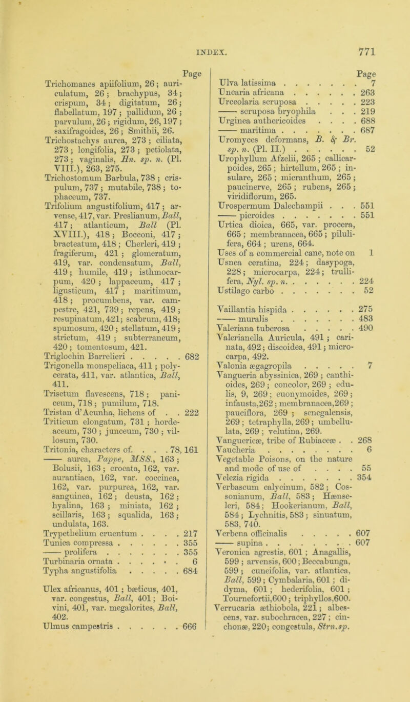 Page Trichomanes apiifolium, 26 ; auri- culatum, 26; brachypus, 34; crispum, 34; digitatum, 26; flabeUatum, 197 ; pallidum, 26 ; parvulum, 26; rigidum, 26,197 ; saxifragoides, 26; Smithii, 26. Trichostachys aurea, 273; ciliata, 273 j longifolia, 273 ; petiolata, 273; vaginalis, Hn. sp. n. (PI. VIII.), 263, 275. Trichostomum Barbula, 738 ; cris- pulum, 737 ; mutabile, 738; to- phaceum, 737. Trifolium angustifolium, 417 ; ar- vense, 417, var. Preslianum, Ball, 417; atlanticum, Ball (PI. XYIII.), 418 ; Bocconi, 417 ; bracteatum, 418 ; Cberleri, 419 ; fragiferum, 421 ; glomeratum, 419, var. condensation, Ball, 419; humile, 419; isthmocar- pum, 420 ; lappaceum, 417 ; ligusticum, 417 ; maritimum, 418; procumbens, var. cam- pestre, 421, 739; repens, 419 ; resupinatum,421; scabrum, 418; spumosum, 420; stellatum, 419; strictum, 419 ; subterraneum, 420; tomentosum, 421. Triglochin Barrelieri 682 Trigonella monspeliaca, 411; poly- cerata, 411, var. atlantiea, Ball, 411. Trisetum flavescens, 718 ; pani- ceum, 718 ; pumilum, 718. Tristan d’Acunha, lichens of . . 222 Triticum elongatum, 731 ; horde- aceum, 730 ; junceum, 730 ; vil- losum, 730. Tritonia, characters of. . . . 78,161 aurea, Bappe, MSS., 163; Bolusii, 163 ; crocata, 162, var. aurantiaca, 162, var. coccinea, 162, var. purpurea, 162, var. sanguinea, 162; deusta, 162 ; hyalina, 163 ; miniata, 162 ; scillaris, 163; squalida, 163; undulata, 163. Trypethelium cruentum . . . .217 Tunica eompressa 355 prolifera 355 Turbinaria omata ....*. 6 Typha angustifolia 684 Ulex africanus, 401 ; bceticus, 401, var. congestus, Ball, 401; Boi- vini, 401, var. megalorites, Ball, 402. Ulrnus campestris 666 Ulva latissima . . . Uncaria africana . . Urceolaria scruposa . scruposa bryophila Urginea anthericoides maritima . . . Page . 7 . 263 . 223 . 219 . 688 . 687 Uromyces deformans, B. Sf Br. sp. n. (PI. II.) 52 Urophyllum Afzelii, 265 ; callicar- poidcs, 265 ; hirtcllum, 265 ; in- sulare, 265 ; micranthum, 265 ; paucinerve, 265 ; rubens, 265 ; viridiflorum, 265. Urospermum Dalechampii . . .551 picroides 551 Urtica dioica, 665, var. procera, 665 ; membranacea, 665 ; piluli- fera, 664 ; urens, 664. Uses of a commercial cane, note on 1 Usnea ceratina, 224; dasypoga, 228; microcarpa, 224; trulli- fera, Nyl. sp. n 224 Ustilago carbo 52 Yaillantia hispida 275 muralis 483 Yaleriana tuberosa 490 Yalerianella Auricula, 491 ; cari- nata, 492; discoidea, 491; micro- carpa, 492. Yalonia segagropila 7 Yangueria abyssinica, 269 ; cantlii- oidcs, 269 ; concolor, 269 ; edu- lis, 9, 269; cuonymoides, 269; infausta,262; membranacea,269; pauciflora, 269 ; senegalensis, 269 ; tctraphylla, 269; umbellu- lata, 269 ; velutina, 269. Yangueriese, tribe of Kubiacese . . 268 Yauclieria 6 Vegetable Poisons, on the nature and mode of use of .... 55 Yelezia rigida 354 Verbascum calycinum, 582; Cos- sonianum, Ball, 583; Hsense- leri, 584; Hookerianum, Ball, 584 ; Lychnitis, 583; sinuatum, 583, 740. Yerbena officinalis 607 supina 607 Yeronica agrestis, 601 ; Anagallis, 599 ; arvensis, 600; Beccabunga, 599 ; cuneifolia, var. atlantiea, Ball, 599; Cymbalaria, 601; di- dyma, 601 ; hederifolia, 601 ; Tournefortii,600; triphyllos,600. Yerrucaria sethiobola, 221; albes- cens, var. subochracea, 227; cin- chonse, 220; congcetula, Stm.sp.