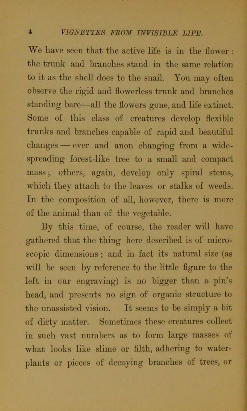 We have seen that the active life is in the flower : the trunk and branches stand in the same relation to it as the shell does to the snail. You may often observe the rigid and flowerless trunk and branches standing bare—all the flowers gone, and life extinct. Some of this class of creatures develop flexible trunks and branches capable of rapid and beautiful changes — ever and anon changing from a wide- spreading forest-like tree to a small and compact mass; others, again, develop only spiral stems, which they attach to the leaves or stalks of weeds. In the composition of all, however, there is more of the animal than of the vegetable. By this time, of course, the reader will have gathered that the thing here described is of micro- scopic dimensions ; and in fact its natural size (as will be seen by reference to the little figure to the left in our engraving) is no bigger than a pin’s head, and presents no sign of organic structure to the unassisted vision. It seems to be simply a bit of dirty matter. Sometimes these creatures collect in such vast numbers as to form large masses of what looks like slime or filth, adhering to water- plants or pieces of decaying branches of trees, or