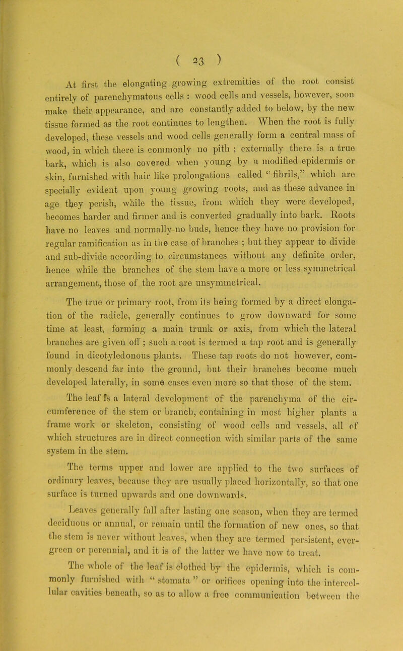 At first the elongating growing extremities of the root consist entirely of parenchymatous cells : wood cells and vessels, however, soon make their appearance, and are constantly added to below, hy the new tissue formed as the root continues to lengthen. When the root is fully developed, these vessels and wood cells generally form a central mass of wood, in which there is commonly no pith ; externally there is a true bark, which is also covered when young by a modified epidermis or skin, furnished with hair like prolongations called l' fibrils, which are specially evident upon young growing roots, and as these advance in age they perish, while the tissue, from which they were developed, becomes harder and firmer and is converted gradually into bark. Roots have no leaves and normally- no buds, hence they have no provision for regular ramification as in the case of branches ; but they appear to divide and sub-divide according to circumstances without any definite order, hence while the branches of the stem have a more or less symmetrical arrangement, those of the root are unsymmetrical. The true or primary root, from its being formed by a direct elonga- tion of the radicle, generally continues to grow downward for some time at least, forming a main trunk or axis, from which the lateral branches are given off; such a root is termed a tap root and is generally found in dicotyledonous plants. These tap roots do not however, com- monly descend far into the ground, but their branches become much developed laterally, in some cases even more so that those of the stem. The leaf fs a lateral development of the parenchyma of the cir- cumference of the stem or branch, containing in most higher plants a frame work or skeleton, consisting of wood cells and vessels, all of which structures are in direct connection with similar parts of the same system in the stem. The terms upper and lou’er are applied to the two surfaces of ordinary leaves, because they are usually placed horizontally, so that one surface is turned upwards and one downwards. Leases generally fall after lasting one season, when they are termed deciduous or annual, or remain until the formation ot new ones, so that the stem is never without leaves, when they arc termed persistent, cver- gicen 01 peiennial, and it is of the latter we have now to treat. Ihe whole of the leaf is clothed by the epidermis, which is com- monly furnished with “ stomata ” or orifices opening into the intercel- lular cavities beneath, so as to allow a free communication between the