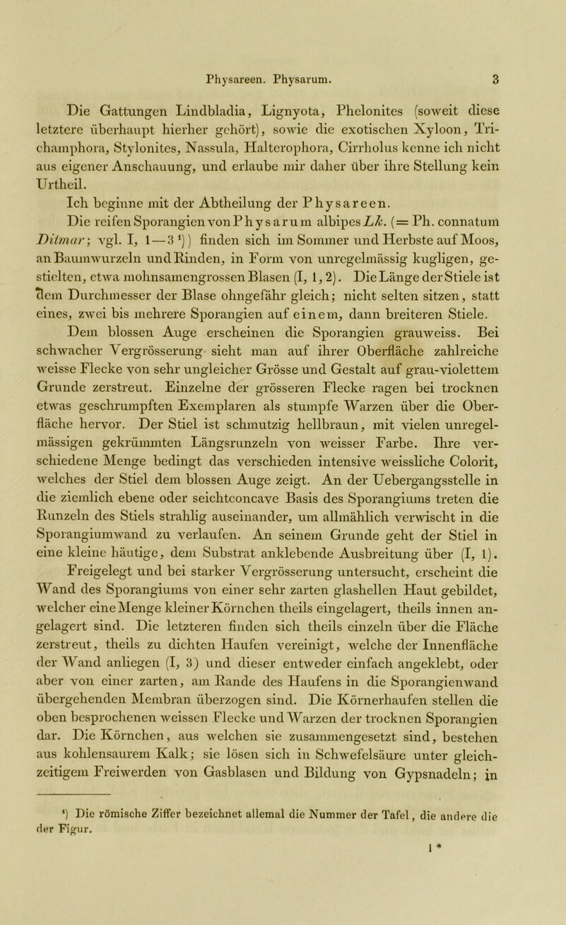 Die Gattungen Lindbladia, Lignyota, Phelonites (soweit diese letztere überhaupt hierher gehört), sowie die exotischen Xyloon, Tri- champhora, Stylonites, Nassula, Halterophora, Cirrholus kenne ich nicht aus eigener Anschauung, und erlaube mir daher über ihre Stellung kein Urtheil. Ich beginne mit der Abtheilung der Physareen. Die reifenSporangicnvonPhysarum albipesL/c. ( = Ph. connatum Diimar; vgl. I, 1 — 31)) finden sich im Sommer und Herbste auf Moos, an Baumwurzeln und Rinden, in Form von unregelmässig kugligen, ge- stielten, etwa mohnsamengrossen Blasen (I, 1,2). DieLänge derStiele ist (lern Durchmesser der Blase ohngefähr gleich; nicht selten sitzen, statt eines, zwei bis mehrere Sporangien auf einem, dann breiteren Stiele. Dem blossen Auge erscheinen die Sporangien grauweiss. Bei schwacher Yergrösserung sieht man auf ihrer Oberfläche zahlreiche weisse Flecke von sehr ungleicher Grösse und Gestalt auf grau-violettem Grunde zerstreut. Einzelne der grösseren Flecke ragen bei trocknen etwas geschrumpften Exemplaren als stumpfe Warzen über die Ober- fläche hervor. Der Stiel ist schmutzig hellbraun, mit vielen unregel- mässigen gekrümmten Längsrunzeln von weisser Farbe. Ihre ver- schiedene Menge bedingt das verschieden intensive weissliche Colorit, welches der Stiel dem blossen Auge zeigt. An der Uebergangsstelle in die ziemlich ebene oder seichtconcave Basis des Sporangiums treten die Runzeln des Stiels strahlig auseinander, um allmählich verwischt in die Sporangiumwand zu verlaufen. An seinem Grunde geht der Stiel in eine kleine häutige, dem Substrat anklebende Ausbreitung über (I, 1). Freigelegt und bei starker Vergrösserung untersucht, erscheint die Wand des Sporangiums von einer sehr zarten glashellen Haut gebildet, welcher eine Menge kleiner Körnchen theils eingelagert, theils innen an- gelagert sind. Die letzteren finden sich theils einzeln über die Fläche zerstreut, theils zu dichten Haufen vereinigt, welche der Innenfläche der Wand anliegen (I, 3) und dieser entweder einfach angeklebt, oder aber von einer zarten, am Rande des Haufens in die Sporangienwand übergehenden Membran überzogen sind. Die Körnerhaufen stellen die oben besprochenen weissen Flecke und Warzen der trocknen Sporangien dar. Die Körnchen, aus welchen sie zusammengesetzt sind, bestehen aus kohlensaurem Kalk; sie lösen sich in Schwefelsäure unter gleich- zeitigem Freiwerden von Gasblasen und Bildung von Gypsnadeln; in *) Die römische Ziffer bezeichnet allemal die Nummer der Tafel, die andere die der Figur.