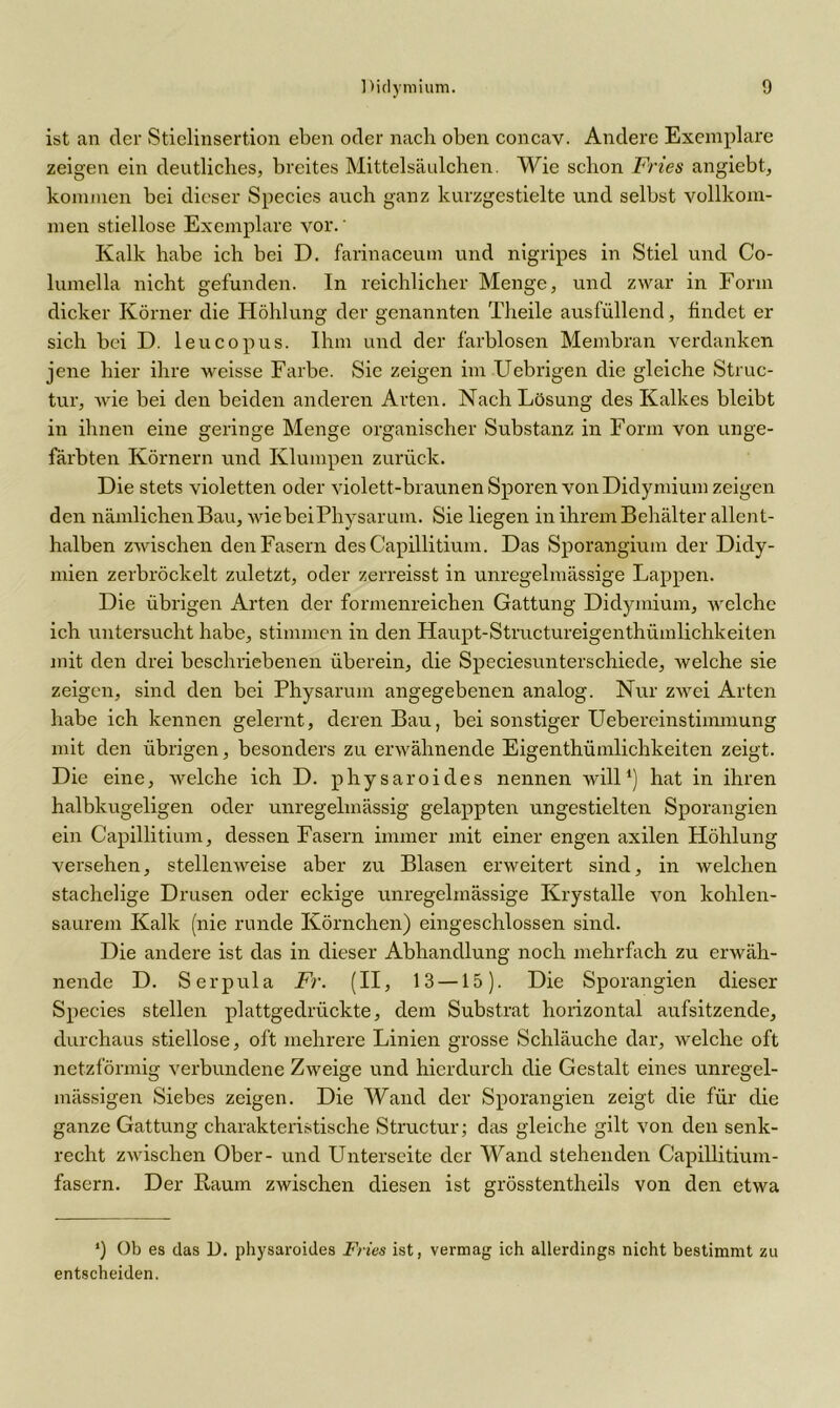 ist an der Stielinsertion eben oder nach oben concav. Andere Exemplare zeigen ein deutliches, breites Mittelsäulchen. Wie schon Fries angiebt, kommen bei dieser Species auch ganz kurzgestielte und selbst vollkom- men stiellose Exemplare vor.' Kalk habe ich bei D. farinaceum und nigripes in Stiel und Co- lumella nicht gefunden. In reichlicher Menge, und zwar in Form dicker Körner die Höhlung der genannten Theile ausfüllend, findet er sich bei D. leucopus. Ihm und der farblosen Membran verdanken jene hier ihre weisse Farbe. Sie zeigen im Uebrigen die gleiche Struc- tur, wie bei den beiden anderen Arten. Nach Lösung des Kalkes bleibt in ihnen eine geringe Menge organischer Substanz in Form von unge- färbten Körnern und Klumpen zurück. Die stets violetten oder violett-braunen Sporen vonDidymium zeigen den nämlichen Bau, wiebeiPhysarum. Sie liegen in ihrem Behälter allent- halben zwischen den Fasern desCapillitium. Das Sporangium der Didy- mien zerbröckelt zuletzt, oder zerreisst in unregelmässige Lappen. Die übrigen Arten der formenreichen Gattung Didymium, welche ich ruitersucht habe, stimmen in den Haupt-Structureigenthümlichkeiten mit den drei beschriebenen überein, die Speciesunterschiede, welche sie zeigen, sind den bei Physarum angegebenen analog. Nur zwei Arten habe ich kennen gelernt, deren Bau, bei sonstiger Uebereinstinunung mit den übrigen, besonders zu erwähnende Eigenthiimlichkeiten zeigt. Die eine, welche ich D. physaroides nennen will1) hat in ihren halbkugeligen oder unregelmässig gelappten ungestielten Sporangien ein Capillitium, dessen Fasern immer mit einer engen axilen Höhlung versehen, stellenweise aber zu Blasen erweitert sind, in welchen stachelige Drusen oder eckige unregelmässige Krystalle von kohlen- saurem Kalk (nie runde Körnchen) eingeschlossen sind. Die andere ist das in dieser Abhandlung noch mehrfach zu erwäh- nende D. Serpula Fr. (II, 13 —15). Die Sporangien dieser Species stellen plattgedrückte, dem Substrat horizontal aufsitzende, durchaus stiellose, oft mehrere Linien grosse Schläuche dar, welche oft netzförmig verbundene Zweige und hierdurch die Gestalt eines unregel- mässigen Siebes zeigen. Die Wand der Sporangien zeigt die für die ganze Gattung charakteristische Structur; das gleiche gilt von den senk- recht zwischen Ober- und Unterseite der Wand stehenden Capillitium- fasern. Der Raum zwischen diesen ist grösstentheils von den etwa *) Ob es das D. physaroides Fries ist, vermag ich allerdings nicht bestimmt zu entscheiden.