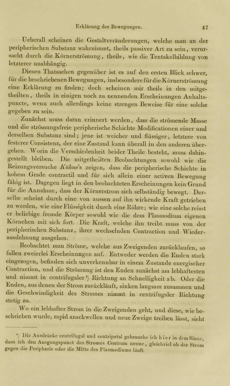 Ueberall scheinen die Gestalt Veränderungen, welche man an der peripherischen Substanz wahrnimmt, theils passiver Art zu sein, verur- sacht durch die Körnerströmung, theils, wie die Tentakelbildung von letzterer unabhängig. Diesen Thatsachen gegenüber ist es auf den ersten Blick schwer, i iir die beschriebenen Bewegungen, insbesondere für die Körnerströmung eine Erklärung zu finden; doch scheinen mir theils in den mitge- theilten, theils in einigen noch zu nennenden Erscheinungen Anhalts- puncte, wenn auch allerdings keine strengen Beweise für eine solche gegeben zu sein. Zunächst muss daran erinnert werden, dass die strömende Masse und die strömungsfreie peripherische Schichte Modificationen einer und derselben Substanz sind; jene ist weicher und flüssiger, letztere von festerer Consistenz, der eine Zustand kann überall in den anderen über- gehen. Worin die Verschiedenheit beider Thcile besteht, muss dahin- gestellt bleiben. Die mitgetheilten Beobachtungen sowohl wie die Keizungsversuche Kühnes zeigen, dass die peripherische Schichte in hohem Grade contractil und für sich allein einer activen Bewegung- fähig ist. Dagegen liegt in den beobachteten Erscheinungen kein Grund für die Annahme, dass der Körnerstrom sich selbständig bewegt. Der- selbe scheint durch eine von aussen auf ihn wirkende Kraft getrieben zu werden, wie eine Flüssigkeit durch eine Bohre; wie eine solche reisst ei beliebige fremde Körper sowohl wie die dem Plasmodium eigenen Körnchen mit sich fort. Die Kraft, welche ihn treibt muss von der peripherischen Substanz, ihrer wechselnden Contraction und Wieder- ausdehnung ausgehen. Beobachtet man Ströme, welche aus Zweigenden zurücklaufen, so lallen zweierlei Erscheinungen auf. Entweder werden die Enden stark eingezogen, befinden sich unverkennbar in einem Zustande energischer Contraction, und die Strömung ist den Enden zunächst am lebhaftesten und nimmt in centrifugaler ') Richtung an Schnelligkeit ab. Oder die Enden, aus denen der Strom zurückläuft, sinken langsam zusammen und die Geschwindigkeit des Stromes nimmt in centrifugaler Richtung stetig zu. Wo ein lebhafter Strom in die Zweigenden geht, und diese, wie be- schrieben wurde, rapid anschwellen und neue Zweige treiben lässt, sieht ') Die Ausdrücke centrilugal und centripetal gebrauche ich hier in dem Sinne dass ich den Ausgangspunet des Stromes Centrum nenne, gleichviel ob der Strom gegen die Peripherie oder die Mitte des Plasmodiums läuft.