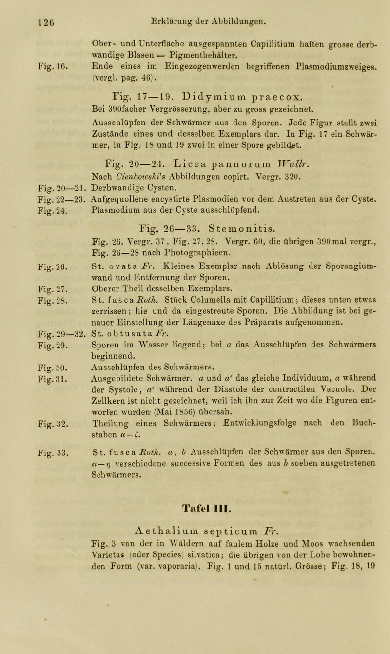 Ober- und Unterfläche ausgespannten Capillitium haften grosse derb- wandige Blasen = Pigmentbehälter. Ende eines im Ein gezogenwerden begriffenen Plasmodiumzweiges, (vergl. pag. 46). Fig. 17—19. Didymium praecox. Bei 390facher Vergrösserung, aber zu gross gezeichnet. Ausschlüpfen der Schwärmer aus den Sporen. Jede Figur stellt zwei Zustände eines und desselben Exemplars dar. In Fig. 17 ein Schwär- mer, in Fig. 18 und 19 zwei in einer Spore gebildet. Fig. 20—24. Licea p anno rum Wallr. Nach Cienkowski’s Abbildungen copirt. Vergr. 320. Fig. 20—21. Derbwandige Cysten. Fig. 22—23. Aufgequollene encystirte Plasmodien vor dem Austreten aus der Cyste. Fig. 24. Plasmodium aus der Cyste ausschlüpfend. Fig. 26—33. Stemonitis. Fig. 26. Vergr. 37, Fig. 27, 28. Vergr. 60, die übrigen 390 mal vergr., Fig. 26—28 nach Photographieen. Fig. 26. St. ovata Fr. Kleines Exemplar nach Ablösung der Sporangium- wand und Entfernung der Sporen. Fig. 27. Oberer Theil desselben Exemplars. Fig. 28. St. fusca Roth. Stück Columella mit Capillitium; dieses unten etwas zerrissen; hie und da eingestreute Sporen. Die Abbildung ist bei ge- nauer Einstellung der Längenaxe des Präparats aufgenommen. Fig. 29—32. S t. o b t u s a t a Fr. Fig. 29. Sporen im Wasser liegend; bei a das Ausschlüpfen des Schwärmers beginnend. Fig. 30. Ausschlüpfen des Schwärmers. Fig. 31. Ausgebildete Schwärmer, a und a‘ das gleiche Individuum, a während der Systole, a' während der Diastole der contractilen Vacuole. Der Zellkern ist nicht gezeichnet, weil ich ihn zur Zeit wo die Figuren ent- worfen wurden- (Mai 1856) übersah. Fig. 32. Theilung eines Schwärmers; Entwicklungsfolge nach den Buch- staben « — f. Fig. 33. St. fusca Roth, a, b Ausschlüpfen der Schwärmer aus den Sporen. a — i] verschiedene successive Formen des aus b soeben ausgetretenen Schwärmers. Fig. 16. Tafel 111. Aethalium septicum Fr. Fig. 3 von der in Wäldern auf faulem Holze und Moos wachsenden Varietas (oder Species) silvatica; die übrigen von der Lohe bewohnen- den Form (var. vaporaria). Fig. 1 und 15 natürl. Grösse; Fig. 18, 19