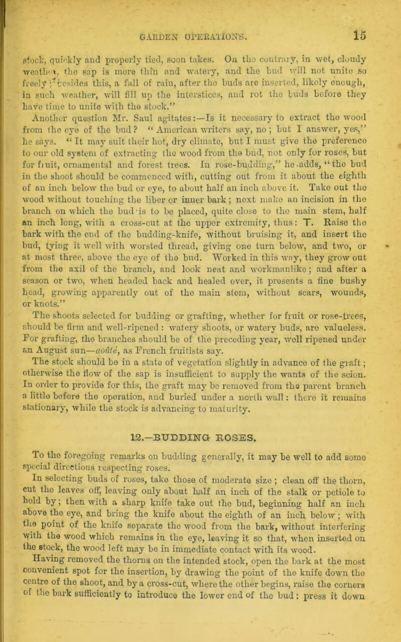 stock, quickly and properly tied, soon takes. On tho contrary, in wet, cloudy weather, tho sap is more thin and watery, and the hud will not unite so freely y besides this, a fall of rain, after tho buds are inserted, likely enough, in such weather, will fill up the interstices, and rot the buds before they have time to unite with the stock.” Another question Mr. Saul agitates:—Is it necessary to extract the wood from the eye of the bud? “ American writers say, no ; but I answer, yes,” he says. “ It may suit their hot, dry climate, but I must give the preference to our old system of extracting the wood from tho bud, not only for roses, but for fiuit, ornamental and forest trees. In rose-budding-,” ho -adds, “ the bud in the shoot should be commenced with, cutting out from it about the eighth of an inch below the bud or eye, to about half an inch above it. Take out tho wood without touching the liber or inner bark; next make an incision in the branch on which the bud-is to be placed, quite close to tho main stem, half an inch long, with a cross-cut at the upper extremity, thus: T. Raise tho bark with the end of the budding-knife, without bruising it, and insert the bud, tying it well with worsted thread, giving one turn below, and two, or at most three, above the eye of the bud. Worked in this way, they grow out from the axil of the branch, and look neat and workmanlike; and after a season or two, when headed back and healed over, it presents a fine bushy head, growing apparently out of the main stem, without scars, wounds, or knots.” The shoots selected for budding or grafting, whether for fruit or rose-trees, should be firm and well-ripened : watery shoots, or watery buds, aro valueless. For grafting, tho branches should be of the preceding year, woll ripened under an August sun—aoule, as French fruitists say. The stock should be in a stato of vegetation slightly in advance of the graft; otherwise tho flow of the sap is insufficient to supply the wants of the scion. In order to provide for this, the graft may be removed from the parent branch a little before the operation, and buried under a north wall: there it remains stationary, while the stock is advancing to maturity. 12.—BUDDING ROSES. To tho foregoing remarks on budding generally, it may be well to add somo special directions respecting roses. In selecting buds of roses, take those of moderate size ; clean off the thorn, cut tho leaves off, leaving only about half an inch of the stalk or petiole to hold by; then with a sharp knife take out the bud, beginning half an inch above the eye, and bring tho knife about the eighth of an inch below; wilh tho point of the knife separate tho wood from the bark, without interfering with the wood which remains in the eye, leaving it so that, when inserted on the stock, the wood left may be in immediate contact -with its wood. Having removed the thorns on the intended stock, open the bark at the most convenient spot for the insertion, by drawing the point of the knife down tho centre of the shoot, and by a cross-cut, where the other begins, raise the corners of die bark sufficiently to introduce the lower end of the bud ; press it down