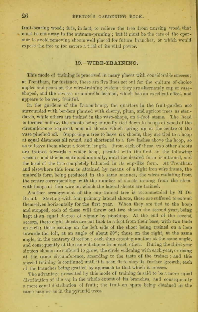 fruit-bearing wood ; it is, in fact, to relieve the tree from nursing wood, that ■ must be cut away in the autumn-pruning ; but it must be the caro of tbo oper- ator to avoid removing shoots well placed for future branches, or which would expose the tree to too severo a trial of its vital power. 19.—WIRE-TRAINING. This mode of training is practised in many places with considerable success ; at Treutham, for instance, there are five lines set out for the culture of choice apples and pears on tho wire-training system ; they are alternately cup or vase- shaped, and the reverse, or umbrella-fashion, which has an excellent effect, and appears to bo very fruitful. In the gardens of the Luxembourg, the quarters iu the fruit-garden are surrounded with borders planted with cherry, plum, and apricot trees as stan- dards, while othei’s are trained in the vase-shape, on 4-foot stems. The head is formed holloAv, the shoots being annually tied down to hoops of wood of the circumference required, and all shoots which spring up in the centre of the vase pinched off. Supposing a tree to have six shoots, they are tied to a hoop at equal distances all round, and shortened to a few inches above the hoop, so as to loave them about a foot in length. From each of these, two other shoots are trained towards a wider hoop, parallel with the first, in the following season ; and this is continued annually, am til the desired form is attained, and the head of the tree completely balanced in its cup-like form. At Trentham and elsewhere this form is attained by means of a light iron wire frame, the umbrella form being produced in the same manner, the wires radiating from the centre corresponding with the number of shoots issuing from the stem, with hoops of thin wire on which the lateral shoots are trained. Another arrangement of the cup-trained tree is i-ecommended by M Du Breuil. Starting with four primary lateral shoots, these are suffered to extend themselves horizontally for the first year. When they are tied to the hoop and stopped, each of these will throw out two shoots the second year, being kept at an equal degree of vigour by pinching. At the end of tho second season, theso eight shoots are cut back to a foot from their base, with two buds on each; those issuing on the left side of the shoot being trained on a loop towards the left, at an angle of about 30°; those on the right, at the same angle, in the contrary direction; each thus crossing another at the same angle, and consequently at the same distance from each other. During the third year sixteen shoots are suffered to grow, the circle widening with each year, or rising at the same circumference, according to the taste of the trainer; and this special training is continued until it is seen fit to stop its further growth, each of the branches being grafted by approach to that which it crosses. Tho advantage presented by this mode of training is said to be a more equal distribution of the sap in the whole extent of its branches, and consequently a more equal distribution of fruit; the fruit on spurs being obtained in the same manner as in the pyramid trees.