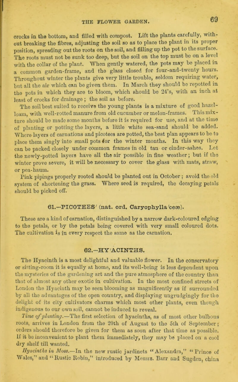 crocks in the bottom, and filled with compost. Lift the plants carefully, with- out breaking the fibres, adjusting the soil so as to place tho plant in its proper position, spreading out tho roots on the soil, and filling up tho pot to the surface. The roots must not be sunk too deop, but the soil on the top must be on a level with the collar of the plant. When gently watered, the pots may be placed in a common garden-frame, and the glass closed for four-and-twenty hours. Throughout winter the plants give very little trouble, seldom requiring water, but all tho air which can bo given them. In March they should be repotted in tho pots in which they are to bloom, which should be 24’s, with an inch at least of crocks for drainage ; the soil as before. The soil best suited to receive the young plants is a mixture of good hazel- loam, with well-rotted manure from old cucumber or melon-frames. This mix- ture should bo made some months before it is required for use, and at the time of planting or potting the layers, a little white sea-sand should be added. Where layers of carnations and picotees are potted, the best plan appears to be to place them singly into small pots for the winter months. In this way they can be packed closely under common frames in old tan or cinder-ashes. Let the newly-potted layers have all the air possible in fine weather; but if tho winter prove severe, it will be necessary to cover the glass with mats, straw, or pea-haum. Pink pipings properly rooted should be planted out in October; avoid the old system of shortening the grass. Where seed is required, the decaying petals should be picked off. 61.—PICOTEES' (nat. ord. Caryophylla'ceoe). These are a kind of carnation, distinguished by a narrow dark-coloured edging to the petals, or by the petals being covered with very small coloured dots. The cultivation is in every respect the same as the carnation. 62.—HYACINTHS. The Hyacinth is a most delightful and valuable flower. In the conservatory or sitting-room it is equally at home, and its well-being is less dependent upon the mysteries of the gardening art and the pure atmosphere of the country than that of almost any other exotic in cultivation. In tho most confined streets of London the Hyacinth may be seen blooming as magnificently as if surrounded by all the advantages of tho open country, and displaying ungrudgingly for tho delight of its city cultivators charms which most other plants, oven though indigenous to our own soil, cannot be induced to reveal. lime of planting.—The first selection of hyacinths, as of most other bulbous roots, arrives in London from the 20th of August to tho 5th of September; orders should therefore be given for them as soon after that time as possible. If it be inconvenient to plant them immediately, thoy may be placed on a cool dry shelf till wanted. Hyacinths in Moss.—In the new rustic jardinets “Alexandra,” “Prince of Wales,” and “ Rustic Robin,” introduced by Messrs. Barr and Sugdcn, china