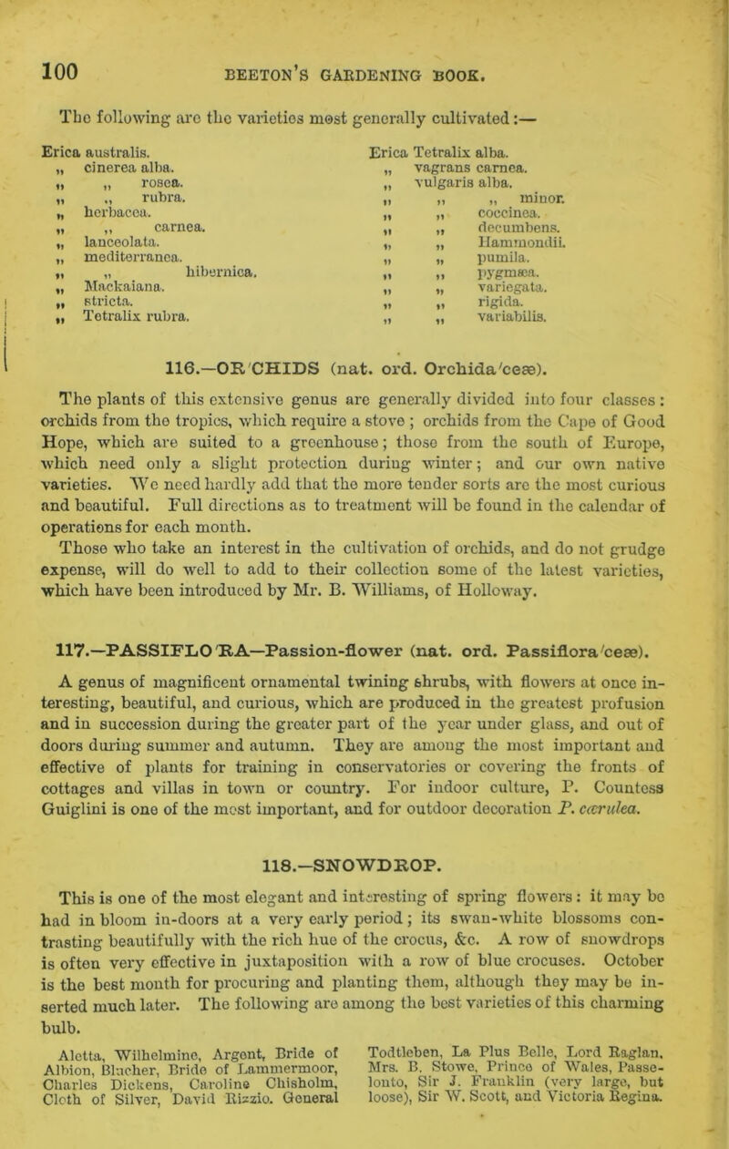 Tbe following aro the varieties most generally cultivated:— Erica australis. Erica Tetralix alba. « cinerea alba. It vagrans carnea. 11 „ rosea. It vulgaris alba. 11 ,, rubra. It ,, „ minor. It hcrbacoa. |1 „ coccinea. 11 ,, carnea. 11 „ decumbens. It lanceolate. It „ HammondiL It mediterranca. It „ pumila. It „ hibernica. 11 „ pygmaea. It Mackaiana. It „ variegata. 11 stricta. 11 „ rigida. 11 Totralix rubra. 11 „ variabilis. 116.—OH CHIDS (nat. ord. Orchida'ceae). The plants of this extensive genus are generally divided into four classes : orchids from tho tropics, which require a stove ; orchids from the Cape of Good Hope, which are suited to a groenhouse; those from the south of Europe, which need only a slight protection during winter; and our own native varieties. We need hardly add that the more tender sorts are the most curious and beautiful. Full directions as to treatment will be found in the calendar of operations for each month. Those who take an interest in the cultivation of orchids, and do not grudge expense, will do well to add to their collection some of the latest varieties, which have been introduced by Mr. B. Williams, of Holloway. 117.—PASSIFLO HA—Passion-flower (nat. ord. Passiflora/cese). A genus of magnificent ornamental twining shrubs, with flowers at once in- teresting, beautiful, and curious, which are produced in the greatest profusion and in succession during the greater part of the year under glass, and out of doors during summer and autumn. They are among the most important and effective of plants for training in conservatories or covering the fronts of cottages and villas in town or country. For indoor culture, P. Countess Guiglini is one of the most important, and for outdoor decoration P. cccrulea. 118.—SNOWDROP. This is one of the most elegant and interesting of spring flowers: it may bo had in bloom in-doors at a very early period; its swan-white blossoms con- trasting beautifully with the rich hue of the crocus, &c. A row of snowdrops is often very effective in juxtaposition with a row of blue crocuses. October is the best month for procuring and planting them, although they may bo in- serted much later. The following are among the best varieties of this charming bulb. Aletta, Wilhelmine, Argent, Bride of Todtleben, La Plus Belle, Lord Raglan. Albion, Blueher, Bride of Lammermoor, Mrs. B. Stowe, Prince of Wales, Passe- Charles Dickens, Caroline Chisholm, lonto, Sir J. Franklin (very large, but Cloth of Silver, David Riazio. General loose), Sir W. Scott, and Victoria Regina.