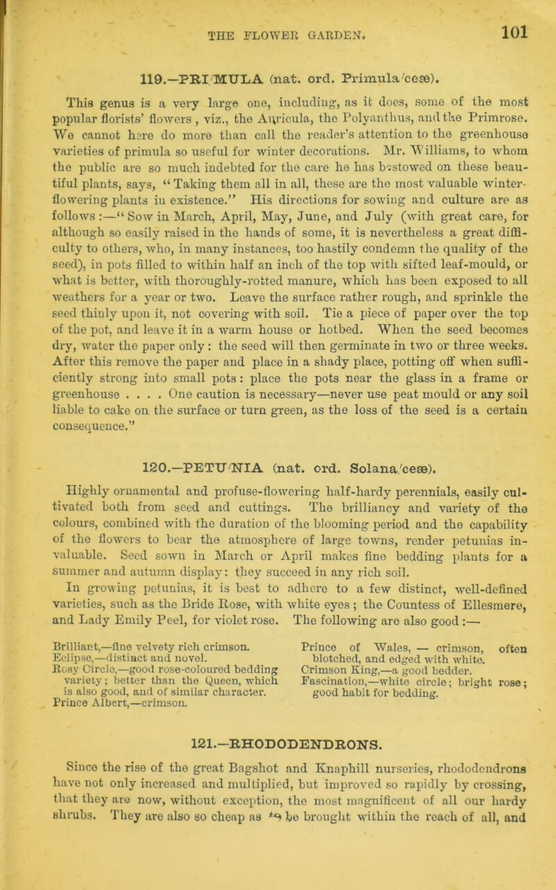 119.—PRI,'MULA (nat. ord. Primula'cese). This genus is a very large one, including, as it docs, some of the most popular florists’ flowers , viz., the Auricula, tho Polyanthus, and the Primrose. We cannot here do more than call the reader’s attention to the greenhouse varieties of primula so useful for winter decorations. Mr. Williams, to whom the public are so much indebted for the care he has bestowed on these beau- tiful plants, says, “ Taking them all in all, these are tho most valuable winter- flowering plants in existence.” His directions for sowing and culture are as follows:—“Sow in March, April, May, June, and July (with great care, for although so easily raised in the hands of some, it is nevertheless a great diffi- culty to others, who, in many instances, too hastily condemn the quality of the seed), in pots filled to within half an inch of tho top with sifted leaf-mould, or what is better, with thoroughly-rotted manure, which has been exposed to all weathers for a year or two. Leave the surface rather rough, and sprinkle the seed thinly upon it, not covering with soil. Tie a piece of paper over the top of the pot, and leave it in a warm house or hotbed. When the seed becomes dry, water tho paper only: the seed will then germinate in two or three weeks. After this remove the paper and place in a shady place, potting off when suffi- ciently strong into small pots: place the pots near the glass in a frame or greenhouse .... One caution is necessary—never use peat mould or any soil liable to cake on the surface or turn green, as the loss of the seed is a certain consequence.” 120.— PETUNIA (nat. ord. Solana/cese). Highly ornamental and profuse-flowering half-hardy perennials, easily cul- tivated both from seed and cuttings. The brilliancy and variety of the colours, combined with the duration of the blooming period and the capability of tho flowers to bear the atmosphere of large towns, render petunias in- valuable. Seed sown in March or April makes fine bedding plants for a summer and autumn display: they succeed in any rich soil. In growing petunias, it is best to adhcro to a few distinct, well-defined varieties, such as the Bride Hose, with white eyes ; the Countess of Ellesmere, and Lady Emily Peel, for violet rose. The following are also good:— Brilliant,—lino velvety rich crimson. Eclipse,—distinct and novel. Rosy Circle,—good rose-coloured bedding variety; better than the Queen, which is also good, and of similar character. Prince Albert,—crimson. Prince of Wales, — crimson, often blotched, and edged with white. Crimson King,—a good bedder. Fascination,—white circle; bright rose; good habit for bedding. 121.—RHODODENDRONS. Since the rise of the great Bagshot and Knaphill nurseries, rhododendrons have not only increased and multiplied, but improved so rapidly by crossing, that they are now, without exception, the most magnificent of all our hardy shrubs. They are also so cheap as *** he brought within the reach of all, and