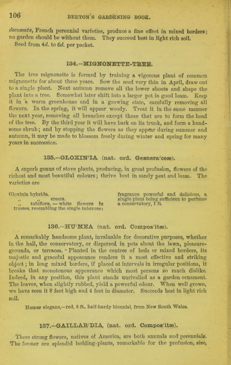 decussata, French perennial varieties, produce a fine effect in mixed borders; no garden should be without them. They succeed best in light rich soil. Seed from Ad. to 6d. per packet. 134.—MIGNONETTE-TREE. The tree mignonette is formed by training a vigorous plant of common mignonette for about three years. Sow the seed very thin in April, draw out to a single plant. Next autumn remove all the lower shoots and shape the plant into a tree. Somewhat later shift into a larger pot in good loam. Keep it in a warm greenhouse and in a growing state, carefully removing all flowers. In the spring, it will appear woody. Treat it in the same manner the next year, removing all branches except those that are to form the head of the tree. By the third year it will have bark on its trunk, and form a hand- some shrub; and by stopping the flowers as they appear during summer and autumn, it may be made to blossom freely during winter and spring for many years in succession. 135.—GLOXIN'IA (nat. ord. Gesnera'cese). A superb genus of stove plants, producing, in great profusion, flowers of tho richest and most beautiful colours; thrive best in sandy peat and loam. The varieties are Gloxinia hybrida. fragrance powerful and delicious, a ,, „ erecla. single plant being sufficient to perfume „ tubiflora, — white flowers in a conservatory, 1 ft. trusses, resembling the single tuberose; 136.—HTJ'MEA (nat. ord. Compos'itse). A remarkably handsome plant, invaluable for decorative purposes, whether in the hall, tho conservatory, or dispersed in pots about the lawn, pleasure- grounds, or terraces. * Planted in the centres of beds or mixed borders, its majestic and graceful appearance renders it a most effective and striking object; in long mixed borders, if placed at intervals in irregular positions, it breaks that monotonous appearance which most persons so much dislike. Indeed, in any position, this plant stands unrivalled as a garden ornament. The leaves, when slightly rubbed, yield a powerful odour. When well grown, we have seen it 8 feet high and 4 feet in diameter. Succeeds best in light rich soil. Humes1 elegans,—red, 8 ft- half-hardy biennial, from New South Wales. 137.—GAILLAB/DIA (nat. ord. Compos'itse). These strong flowers, natives of America, are both annuals and perennials. The former are splendid bedding-plants, remarkable for the profusion, size,