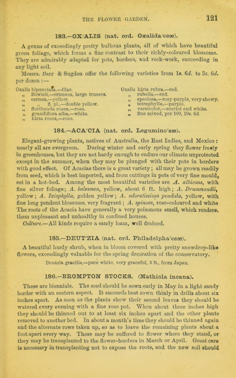 183.—OXALIS (nat. ord. Oxalida'ceee). A genus of exceedingly pretty bulbous plants, all of which have beautiful green foliage, which forms a fine contrast to their richly-coloured blossoms. They are admirably adapted for pots, borders, and rock-work, succeeding in any light soil. Messrs. Harr & Sugden offer the following varieties from Is. 6d. to 3s. 6(7. per dozen :—■ Oxalis bipunctata,—lilac. „ Bowieii,—crimson, large trusses. ,, cernua,—yellow. „ „ fl. pi.,—double yellow. „ floribunda rosea,—rose. „ graudiflora alba,—white. „ hirta rosea,—rose. Oxalis hirta rubra,—red. „ rubella,—red. „ speciosa,—rosy-purple, very showy. „ tetraphylla,—purple. „ versicolor,—scarlet and white. „ fine mixed, per 100, 10$. 0cl. 184.—ACA'CIA (nat. ord. Legumiino'sae). Elegant-growing plants, natives of Australia, the East Indies, and Mexico : nearly all are evergreen. During winter and early spring they flower freely in greenhouses, but they are not hardy enough to endure our climate unprotected except in the summer, when they may be plunged with their pots in borders with good effect. Of Acacias there is a great variety; all may be grown readily from seed, which is best imported, and from cuttings in pots of very fine mould, set in a hot-bed. Among the most beautiful varieties are A. albicans, with fine silver foliage; A. balsamea, yellow, about 6 ft. high; A. Drummondii, yellow; A. Ixiophijlla, golden yellow; A. odoratissima pendula, yellow, with fine long pendent blossoms, very fragrant; A. spinosa, rose-coloured and white The roots of the Acacia have generally a very poisonous smell, which renders, them unpleasant and unhealthy in confined houses. Culture.—All kinds require a sandy loam, well drained. 185.—DETJT'ZIA (nat. ord. Philadelpha'cese). A beautiful hardy shrub, when in bloom covered with pretty snowdrop-like flowers, exceedingly valuable for the spring decollation of the conservatory. Dcutzia gracilis,—pure white, very graceful, 3 ft., from Japan. 186.-BEOMPTON STOCKS. (Mathiola incana). These are biennials. The seed should be sown early in May in a light sandy border with an eastern aspect. It succeeds best sown thinly in drills about six inches apart. As soon as the plants show their second leaves they should be watered every evening with a fine rose pot. When about three inches high they should be thinned out to at least six inches apart and the other plants removed to another bed. In about a month’s time they should be thinned again and the alternate rows taken up, so as to leave the remaining plants about a foot apart every way. These may be suffered to flower where they stand, or they may be transplanted to the flower-borders in March or April. Great care is necessary in transplanting not to expose the roots, and the new soil should