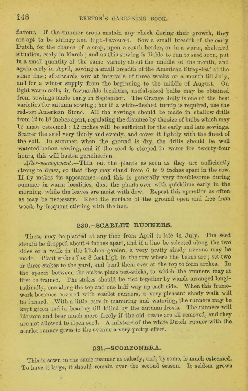 flavour. If tho summer crops sustain any check during their growth, they aro apt to be stringy and high-flavoured. Sow a small breadth of the early Dutch, for the chance of a crop, upon a south border, or in a warm, sheltered situation, early in March ; and as this sowing is liable to run to seed soon, put in a small quantity of tho same variety about the middle of tho month, and again early in April, sowing a small breadth of the American Strap-leaf at tho same time; afterwards sow at intervals of three weeks or a month till July, and for a winter supply from the beginning to the middle of August. On light warm soils, in favourable localities, useful-sized bulbs may be obtained from sowings made early in September. The Orange Jelly is one of the best varieties for autumn sowing; but if a white-fleshed turnip is required, use the red-top American Stone. All the sowings should be made in shallow drills from 12 to 18 inches apart, regulating the distance by the size of bulbs which may be most esteemed : 12 inches will be sufficient for the early and late sowings. Scatter the seed very thinly and evenly, and cover it lightly with the finest of the soil. In summer, when the ground is dry, the drills should be well watered before sowing, and if the seed is steeped in water for twenty-four hours, this will hasten germination. After-vianagement.—Thin out the plants as soon as they are sufficiently strong to draw, so that they may stand from 6 to 9 inches apart in the row. If fly makes its appearance—and this is generally very troublesome during summer in warm localities, dust the plants over with quicklime early in the morning, while the leaves are moist with dew. Repeat this operation as often rs may be necessary. Keep the surface of the ground open and free from Weeds by frequent stirring with the hoe. 230-SCARLET RUNNERS. These may be planted at anytime from April to late in July. The seed should be dropped about 4 inches apart, and if a line be selected along the two sides of a walk in the kitchen-garden, a very pretty shady avenue may be made. Plant stakes 7 or 8 feet high in the row where the beans are ; set two or three stakes to tho yard, and bend them over at the top to form arches. In the spaces between the stakes place pea-sticks, to which the runners may at first bo trained. The stakes should be tied together by wands arranged longi- tudinally, one along tho top and ono half way up each side. When this frame- work becomes covered with scarlet runners, a very pleasant shady walk will be formed. With a littlo care in manuring and watering, the runners may be kept green and in bearing till killed by the autumn frosts. The runners will blossom and bear much more freely if the old boans aro all removed, and they are not allowed to ripen seed. A mixture of the white Dutch runner with the scarlet runner gives to the avenue a very pretty effect. 231.—SCORZONERA. This is sown in the same manner as salsafy, and, by somo, is much esteemed. To have it large, it should remain over the second season. It seldom grows