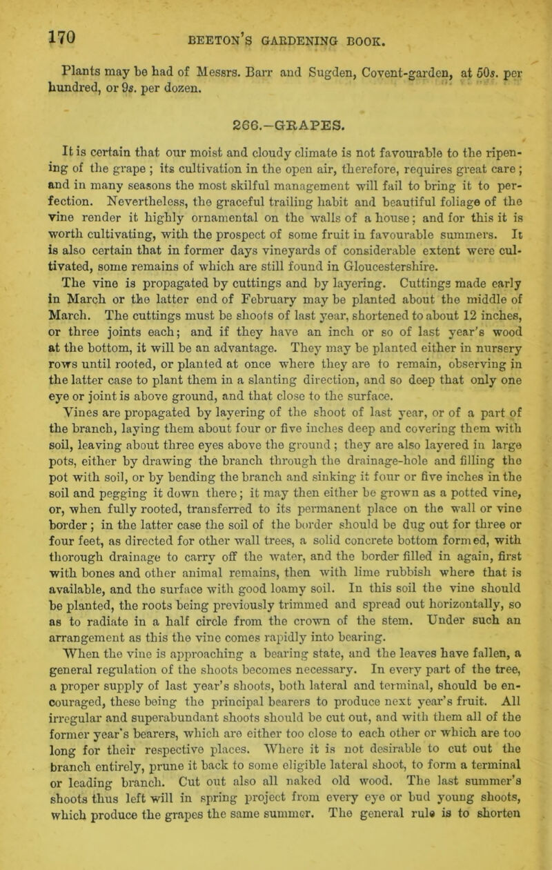 Plants may lie had of Messrs. Barr and Sugden, Covent-gardcn, at 50s. per hundred, or 9s. per dozen. 266.—GB APES. It is certain that our moist and cloudy climate is not favourable to the ripen- ing of the grape ; its cultivation in the open air, therefore, requires great care ; and in many seasons the most skilful management will fail to bring it to per- fection. Nevertheless, the graceful trailing habit and beautiful foliage of the vine render it highly ornamental on the walls of a house: and for this it is worth cultivating, with the prospect of some fruit in favourable summers. It is also certain that in former days vineyards of considerable extent were cul- tivated, some remains of which are still found in Gloucestershire. The vine is propagated by cuttings and by layering. Cuttings made early in March or the latter end of February may be planted about the middle of March. The cuttings must be shoots of last year, shortened to about 12 inches, or three joints each; and if they have an inch or so of last year’s wood at the bottom, it will be an advantage. They may be planted either in nursery rows until rooted, or planted at once where they are to remain, observing in the latter case to plant them in a slanting direction, and so deep that only one eye or joint is above ground, and that close to the surface. Vines are propagated by layering of the shoot of last year, or of a part of the branch, laying them about four or five inches deep and covering them with soil, leaving about three eyes above the ground ; they are also layered in large pots, either by drawing the branch through the drainage-hole and filling the pot with soil, or by bending the branch and sinking it four or five inches in the soil and pegging it down there; it may then either be grown as a potted vine, or, when fully rooted, transferred to its permanent place on the wall or vine border ; in the latter case the soil of the border should be dug out for three or four feet, as directed for other wall trees, a solid concrete bottom formed, with thorough drainage to carry off the water, and the border filled in again, first with bones and other animal remains, then with lime rubbish where that is available, and the surface with good loamy soil. In this soil the vine should be planted, the roots being previously trimmed and spread out horizontally, so as to radiate in a half circle from the crown of the stem. Under such an arrangement as this the vine comes rapidly into bearing. When the vine is approaching a bearing state, and the leaves have fallen, a general regulation of the shoots becomes necessary. In every part of the tree, a proper supply of last year’s shoots, both lateral and terminal, should be en- couraged, these being the principal bearers to produce next year’s fruit. All irregular and superabundant shoots should be cut out, and with them all of the former year's bearers, which are eithor too close to each other or which are too long for their respective places. Where it is not desirable to cut out the branch entirely, prune it back to some eligible lateral shoot, to form a terminal or leading branch. Cut out also all naked old wood. The last summer’s shoots thus left will in spring project from every eye or bud young shoots, which produce the grapes the same summer. The general rule is to shorten