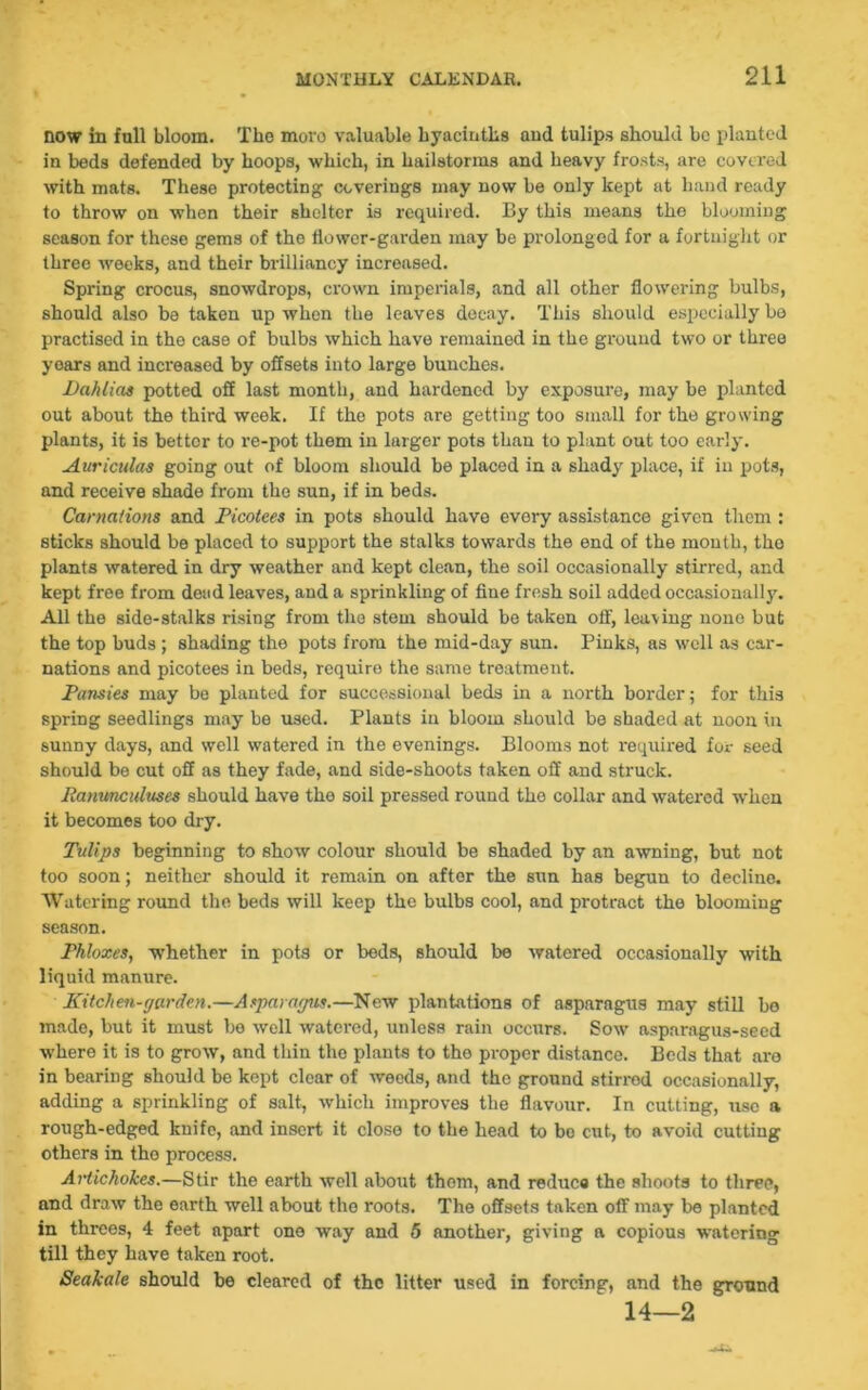 now in full bloom. The more valuable hyacinths and tulips should be planted in beds defended by hoops, which, in hailstorms and heavy frosts, are covered with mats. These protecting coverings may now be only kept at hand ready to throw on when their shelter is required. By this means the blooming season for these gems of the flower-garden may be prolonged for a fortnight or three weeks, and their brilliancy increased. Spring crocus, snowdrops, crown imperials, and all other flowering bulbs, should also be taken up when the leaves decay. This should especially be practised in the case of bulbs which have remained in the ground two or three years and increased by offsets into large bunches. Dahlias potted off last month, and hardened by exposure, may be planted out about the third week. If the pots are getting too small for the growing plants, it is bettor to re-pot them in larger pots than to plant out too early. Auriculas going out of bloom should be placed in a shady place, if in pots, and receive shade from the sun, if in beds. Carnations and Picotees in pots should have every assistance given them : sticks should be placed to support the stalks towards the end of the mouth, tho plants watered in dry weather and kept clean, the soil occasionally stirred, and kept free from dead leaves, and a sprinkling of flue fresh soil added occasionally. All the side-stalks rising from the stem should be taken off, leaving none but the top buds ; shading the pots from the mid-day sun. Pinks, as well as car- nations and picotees in beds, require the same treatment. Pansies may be planted for successional beds in a north border; for this spring seedlings may be used. Plants in bloom should be shaded at noon in sunny days, and well watered in the evenings. Blooms not required for seed should be cut off as they fade, and side-shoots taken off and struck. Fanunculuses should have the soil pressed round tho collar and watered when it becomes too dry. Tulips beginning to show colour should be shaded by an awning, but not too soon; neither should it remain on after the sun has begun to decline. Watering round tho beds will keep the bulbs cool, and protract the blooming season. Phloxes, whether in pots or beds, should be watered occasionally with liquid manure. Kitchen-garden.—Asparagus.—New plantations of asparagus may still bo made, but it must be well watered, unless rain occurs. Sow asparagus-seed where it is to grow, and thin the plants to the proper distance. Beds that are in bearing should be kept clear of weeds, and the ground stirred occasionally, adding a sprinkling of salt, which improves the flavour. In cutting, use a rough-edged knife, and insert it close to the head to he cut, to avoid cutting others in tho process. Artichokes.—Stir the earth well about them, and reduca the shoots to three, and draw the earth well about the roots. The offsets taken off may be planted in threes, 4 feet apart one way and 5 another, giving a copious watering till they have taken root. Seakale should be cleared of tho litter used in forcing, and the ground 14—2