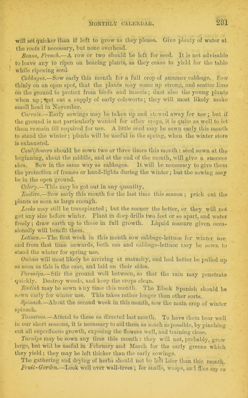 will set quicker than if left to grow as they please. Givo plenty of water at the roots if necessary, but nono overhead. Beans, French.—A row or two should be left for seed. It is not advisable to leave any to ripen ou bearing plants, as they cease to yield for tlio tablo while ripening seed- Cabbages.—Sow early this month for a full crop of summer cabbage. Sow thinly on an open spot, that the plants may come up strong, and scatter lime on the ground to protect from birds and insects; dust also the young plants when up; 'get out a supply of early coleworts; they will most likely make small head in November. Carrots.—Early sowings may be taken up and slowed away for use; but if the ground is not particularly wanted for other crops, it is quite as well to let them remain till required for use. A little seed may be sown early this month to stand the winter; plants will be useful in the spring, when the winter store is exhausted. Cauliflowers should be sown two or three times this month : seed sown at the beginning, about the middle, and at the end of the month, will give a success fcion. Sow in the same way as cabbages. It will be necessary to give them the protection of frames or hand-lights during the winter; but the sowing may be in the open ground. Celery.—This may be got out in any quantity. Endive.—Sow early this month for the last time this season ; prick out the plants as soon as large enough. Leeks may still be transplanted ; but the sooner the better, or they will not get any size before winter. Plant in deep drills two feet or so apart, and water freely; draw earth up to those in full growth. Liquid manure given occa- sionally will benefit them. Lettuce.—The first week in this month sow cabbage-lettuce for winter use and from that time onwards, both cos and cabbage-lettuce may bo sown to stand the winter for spring use. Onions will most likely bo arriving at maturity, and had better bo pulled up as soon as this is the case, and laid on their sides. Parsnips.—Stir the ground well between, so that the rain may penetrato quickly. Destroy weeds, and keep the crops clean. Jladish may be sown ahy time this month. The Black Spanish should bo sown early for winter use. This takes rather longer than other sorts. Spinach.—About the second week in this month, sow the main crop of winter spinach. Tomatoes.—Attend to these as directed last month. To hays them bear well in our short seasons, it is necessary to aid them as much as possible, by pinching out all superfluous growth, exposing the flowers well, and training close. Turnips may be sown any time this month : they will not, probably, grow largo, but wiil be useful in February and March for the early greens which they yield; they may bo left thicker than the early sowings. The gathering and drying of herbs should not be le’ft later than this month. Fruit-Garden.—Look well over wall-trees ; for snails, wasps, and flics ajp as