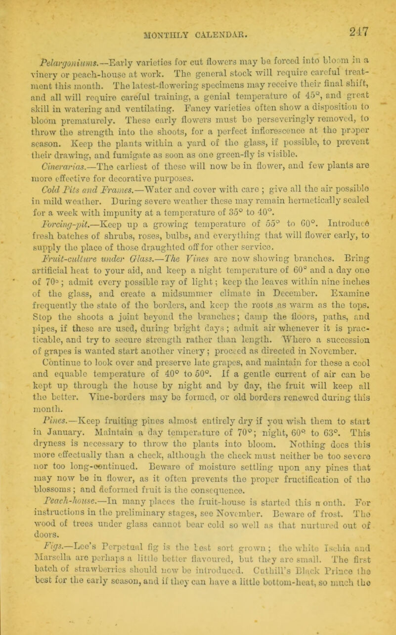 Pelargoniums.—Early varieties for cut flowers may be forced into bio m in a vinery or peach-bousc at work. The general stock will require careful treat- ment this month. The latest-flowering specimens may receive their final shift, and all will rcquii'O careful training, a genial temperature of 45°, and great skill in watering and ventilating. Fancy varieties often show a disposition to bloom prematurely. These early flowers must bo perseveringly removed, to throw the strength into the shoots, for a perfect inflorescence at the proper season. Keep the plants within a yard of tlio glass, if possible, to prevent their drawing, and fumigate as soon as ono green-fly is visible. Cinerarias.—The earliest of those will now be in flower, and few plants are more effective for decorative purposes. Cold Tits and Frames.—Water and cover with care ; give all the air possible in mild weather. During severe weather these may remain hermetically sealed for a week with impunity at a temperature of 35° to 40°. Forcing-pit.—Keep up a growing temperature of 55° to G0°. Introduce fresh batches of shrubs, roses, bulbs, and everything that will flower early, to supply the place of those draughted off for other service. Fruit-culture under Glass.—The Vines are now showing branches. Bring artificial heat to your aid, and keep a night temperature of 60° and a day ono of 70° ; admit every possible ray of light; keep the leaves within nine inches of the glass, and create a midsummer climate in December. Examine frequently the state of the borders, and keep the roots as warm ns the tops. Stop the shoots a joint beyond the branches; damp the floors, paths, and pipes, if theso are used, duiing bright days; admit air whenever it is prac- ticable, and try to secure strength rather than length. Where a succession of grapes is wanted start another vinery; proceed as directed in November. Continue to look over and preserve late grapes, and maintain for these a cool and equable temperature of 40° to 50°. If a gentle current of air can be kept up through the house by night and by day, the fruit will keep all the better. Vine-borders may bo formed, or old borders renewed during this month. Pines.—Keep fruiting pines almost entirely dry if you wish them to start in January. Maintain a day temperature of 70°; night, 60p to 63°. This dryness is necessary to throw the plants into bloom. Nothing does this more effectually than a check, although the check must neither be too severe nor too long-oontinued. Beware of moisturo settling upon any- pines that may now be in flower, as it often prevents the proper fructification of the blossoms; and deformed fruit is the consequence. Peach-house— In many places the fruit-house is started this n onth. For instructions in the preliminary stages, see November. Beware of frost. The wood of trees under glass cannot bear cold so well as that nurtured out of doors. Figs.—Lees Perpetual fig is the lest sort grown; the white Ischia and Marsclla are perhaps a little better flavoured, but they arc small. The first batch of strawberries should now be introduced. Cuthill’s Black Prince the best for the early season, and if they can have a little bottom-heat, so much the