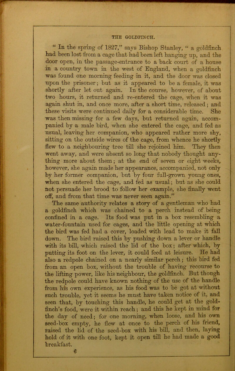 “ In the spring of 1827,” says Bishop Stanley, “ a goldfinch had been lost from a cage that had been left hanging up, and the door open, in the passage-entrance to a back court of a house in a country town in the west of England, when a goldfinch was found one morning feeding in it, and the door was closed upon the prisoner; hut as it appeared to he a female, it was shortly after let out again. In the course, however, of about two hours, it returned and re-entered the cage, when it was again shut in, and once more, after a short time, released; and these visits were continued daily for a considerable time. She was then missing for a few days, but returned again, accom- panied by a male bird, when she entered the cage, and fed as usual, leaving her companion, who appeared rather more shy, sitting on the outside wires of the cage, from whence he shortly flew to a neighbouring tree till she rejoined him. They then went away, and were absent so long that nobody thought any- thing more about them; at the end of seven or eight weeks, however, she again made her appearance, accompanied, not only by her former companion, but by four full-grown young ones, when she entered the cage, and fed as usual; but as she could not persuade her brood to follow her example, she finally went off1, and from that time was never seen again.” The same authority relates a story of a gentleman who had a goldfinch which was chained to a perch instead of being confined in a cage. Its food was put in a box resembling a water-fountain used for cages, and the little opening at which the bird was fed had a cover, loaded with lead to make it fall down. The bird raised this by pushing down a lever or handle with its bill, which raised the lid of the box; after which, by putting its foot on the lever, it could feed at leisure. He had also a redpole chained on a nearly similar perch; this bird fed from an open box, without the trouble of having recourse to the lifting power, like his neighbour, the goldfinch. But though the redpole could have known nothing of the use of the handle from his own experience, as his food was to be got at without such trouble, yet it seems he must have taken notice of it, and seen that, by touching this handle, he could get at the gold- finch’s food, were it within reach; and this he kept in mind for the day of need; for one morning, when loose, and his own seed-box empty, he flew at once to the perch of his friend, raised the lid of the seed-box with his bill, and then, laying hold of it with one foot, kept it open till he had made a good breakfast.