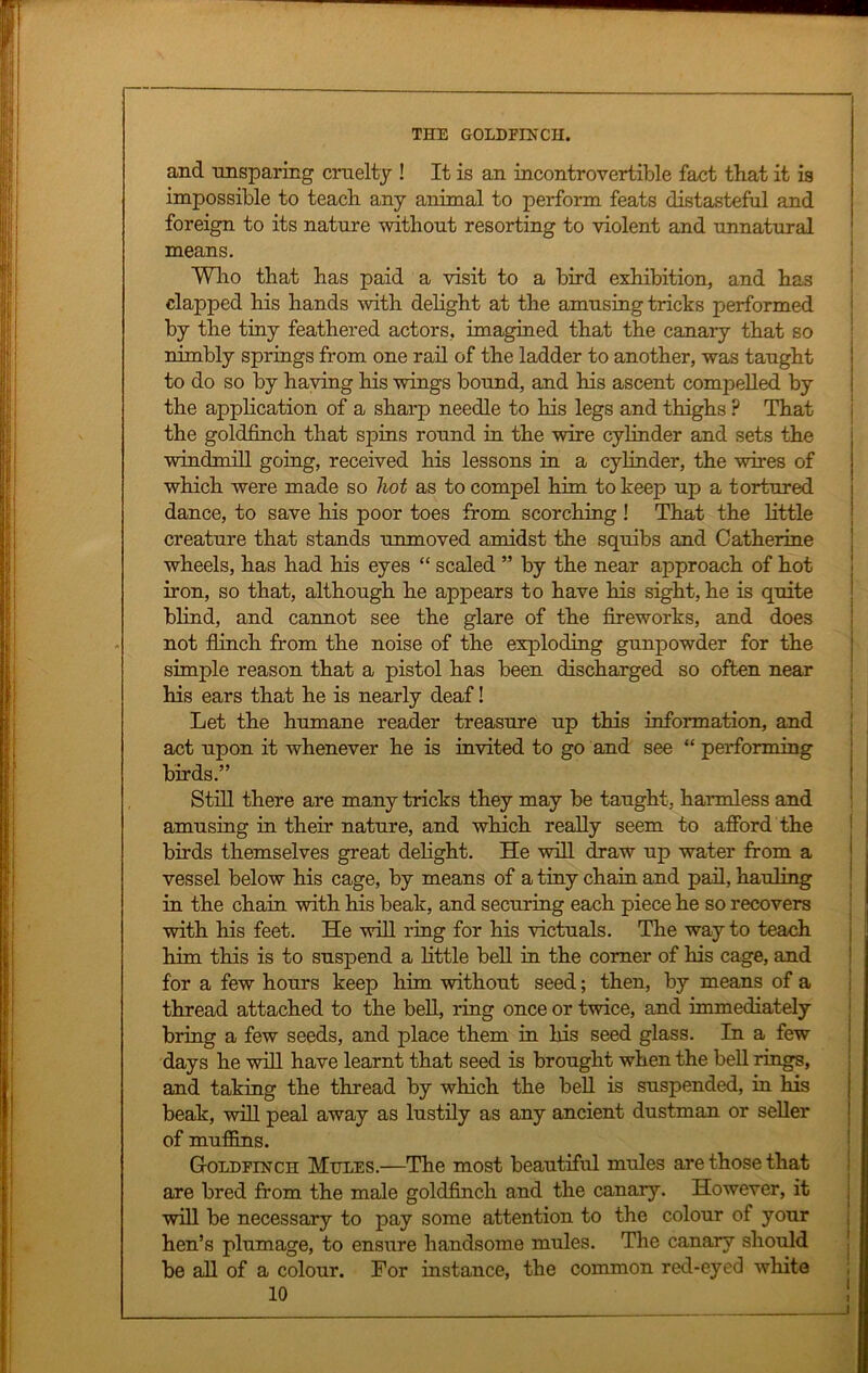 and unsparing cruelty ! It is an incontrovertible fact that it is impossible to teach any animal to perform feats distasteful and foreign to its nature without resorting to violent and unnatural means. Who that has paid a visit to a bird exhibition, and has clapped his hands with delight at the amusing tricks performed by the tiny feathered actors, imagined that the canary that so nimbly springs from one rail of the ladder to another, was taught to do so by having his wings bound, and his ascent compelled by the application of a sharp needle to his legs and thighs ? That the goldfinch that spins round in the wire cylinder and sets the windmill going, received his lessons in a cylinder, the wires of which were made so hot as to compel him to keep up a tortured dance, to save his poor toes from scorching ! That the little creature that stands unmoved amidst the squibs and Catherine wheels, has had his eyes “ scaled ” by the near approach of hot iron, so that, although he appears to have his sight, he is quite blind, and cannot see the glare of the fireworks, and does not flinch from the noise of the exploding gunpowder for the simple reason that a pistol has been discharged so often near his ears that he is nearly deaf! Let the humane reader treasure up this information, and act upon it whenever he is invited to go and see “ performing birds.” Still there are many tricks they may be taught, harmless and amusing in their nature, and which really seem to afford the birds themselves great delight. He will draw up water from a vessel below his cage, by means of a tiny chain and pail, hauling in the chain with his beak, and securing each piece he so recovers with his feet. He will ring for his victuals. The way to teach him this is to suspend a little bell in the comer of his cage, and for a few hours keep him without seed; then, by means of a thread attached to the bell, ring once or twice, and immediately bring a few seeds, and place them in his seed glass. In a few days he will have learnt that seed is brought when the bell rings, and taking the thread by which the bell is suspended, in his beak, will peal away as lustily as any ancient dustman or seller of muffins. Goldfinch Mules.—The most beautiful mules are those that are bred from the male goldfinch and the canary. However, it will be necessary to pay some attention to the colour of your hen’s plumage, to ensure handsome mules. The canary should be all of a colour. For instance, the common red-eyed white