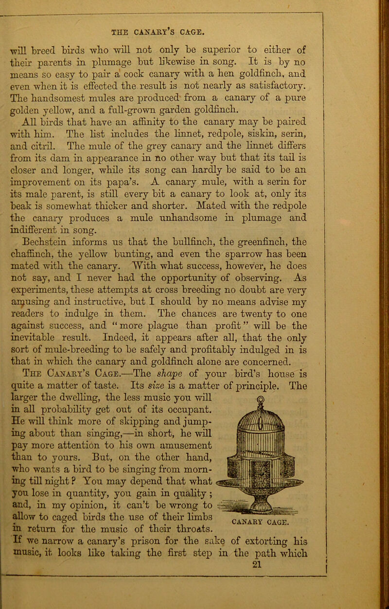 ■will breed birds who will not only be superior to either of their parents in plumage but likewise in song. It is by no means so easy to pair a cock canary with a hen goldfinch, and even when it is effected the result is not nearly as satisfactory. The handsomest mules are produced from a canary of a pure golden yellow, and a full-grown garden goldfinch. All birds that have an affinity to the canary may be paired with him. The list includes the linnet, redpole, siskin, serin, and citril. The mule of the grey canary and the linnet differs from its dam in appearance in no other way but that its tail is closer and longer, while its song can hardly be said to be an improvement on its papa’s. A canary mule, with a serin for its male parent, is still every bit a canary to look at, only its beak is somewhat thicker and shorter. Mated with the redpole the canary produces a mule unhandsome in plumage and indifferent in song. Bechstein informs us that the bullfinch, the greenfinch, the chaffinch, the yellow bunting, and even the sparrow has been mated with the canary. With what success, however, he does not say, and I never had the opportunity of observing. As experiments, these attempts at cross breeding no doubt are very arousing and instructive, but I should by no means advise my readers to indulge in them. The chances are twenty to one against success, and “more plague than profit” will be the inevitable result. Indeed, it appears after all, that the only sort of mule-breeding to be safely and profitably indulged in is that in which the canary and goldfinch alone are concerned. The Canary’s Cage.—The shape of your bird’s house is quite a matter of taste. Its size is a matter of principle. The larger the dwelling, the less music you will in all probability get out of its occupant. He will think more of skipping and jump- ing about than singing,—in short, he will pay more attention to his own amusement than to yours. But, on the other hand, who wants a bud to be singing from morn- ing till night ? You may depend that what you lose in quantity, you gain in quality ; and, in my opinion, it can’t be wrong to “| allow to caged birds the use of their limbs in return for the music of their throats. If we narrow a canary’s prison for the sake of extorting his music, it looks like taking the first step in the path which CANARY CAGE.
