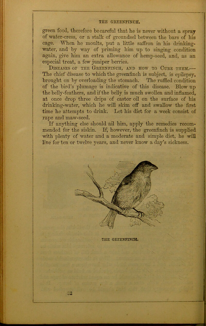 green food, therefore he careful that he is never without a spray of water-cress, or a stalk of groundsel between the bars of his cage. When he moults, put a little saffron in his drinking- water, and by way of priming him up to singing condition again, give him an extra allowance of hemp-seed, and, as an especial treat, a few juniper berries. Diseases of the Greenfinch, and how to Cure them.— The chief disease to which the greenfinch is subject, is epilepsy, brought on by overloading the stomach. The ruffled condition of the bird’s plumage is indicative of this disease. Blow up the belly-feathers, and if the belly is much swollen and inflamed, at once drop three drips of castor oil on the surface of his drinking-water, which he will skim off and swallow the first time he attempts to drink. Let his diet for a week consist of rape and maw-seed. If anything else should ail him, apply the remedies recom- mended for the siskin. If, however, the greenfinch is supplied with plenty of water and a moderate and simple diet, he will live for ten or twelve years, and never know a day’s sickness. I C2