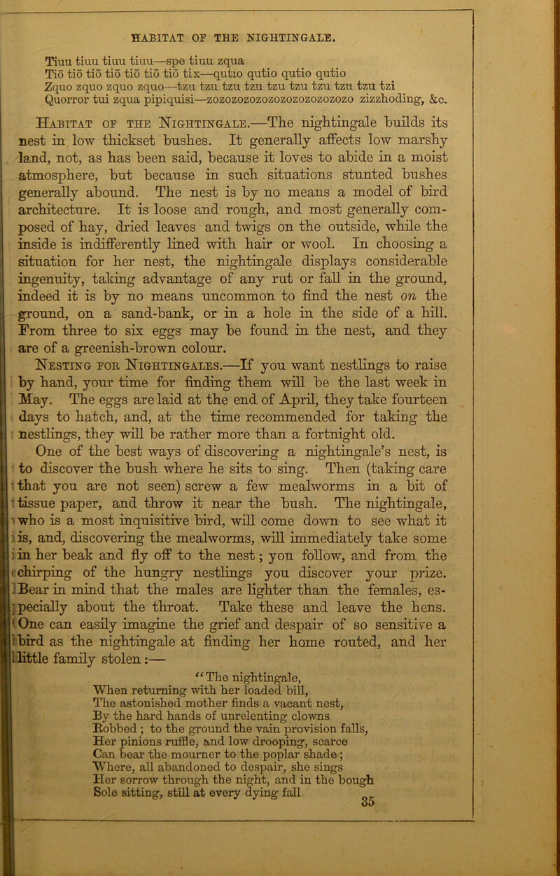 Tiuu tiuu tiuu tiuu—spe tiuu zqua Tio tio tio tio tio tio tio tix—qutio qutio qutio qutio Zquo zquo zquo zquo—tzu tzu tzu tzu tzu tzu tzu tzu tzu tzi Quorror tui zqua pipiquisi—zozozozozozozozozozozozo zizzhoding, &c. Habitat of the Nightingale.—The nightingale hnilds its nest in low thickset bushes. It generally affects low marshy land, not, as has been said, because it loves to abide in a moist atmosphere, but because in such situations stunted bushes generally abound. The nest is by no means a model of bird architecture. It is loose and rough, and most generally com- posed of hay, dried leaves and twigs on the outside, while the inside is indiffereritly lined with hair or wool. In choosing a situation for her nest, the nightingale displays considerable ingenuity, taking advantage of any rut or fall in the ground, indeed it is by no means uncommon to find the nest on the ground, on a sand-bank, or in a hole in the side of a hill. From three to six eggs may be found in the nest, and they are of a greenish-brown colour. Nesting fob. Nightingales.—If you want nestlings to raise by hand, your time for finding them will be the last week in May. The eggs are laid at the end of April, they take fourteen days to hatch, and, at the time recommended for taking the nestlings, they will be rather more than a fortnight old. One of the best ways of discovering a nightingale’s nest, is to discover the bush where he sits to sing. Then (taking care • that you are not seen) screw a few mealworms in a bit of • tissue paper, and throw it near the bush. The nightingale, who is a most inquisitive bird, will come down to see what it • is, and, discovering the mealworms, will immediately take some i in her beak and fly off to the nest; you follow, and from the (chirping of the hungry nestlings you discover your prize. Bear in mind that the males are lighter than the females, es- pecially about the throat. Take these and leave the hens. ■ One can easily imagine the grief and despair of so sensitive a ibird as the nightingale at finding her home routed, and her 1 little family stolen:— “The nightingale, When returning with her loaded bill, The astonished mother finds a vacant nest, By the hard hands of unrelenting clowns Bobbed ; to the ground the vain provision falls, Her pinions ruffle, and low drooping, scarce Can bear the mourner to the poplar shade; Where, all abandoned to despair, she sings Her sorrow through the night, and in the bough Sole sitting, still at every dying fall