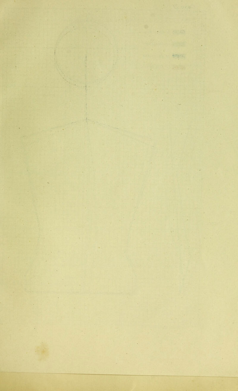 V i . H , ‘ M ■ í