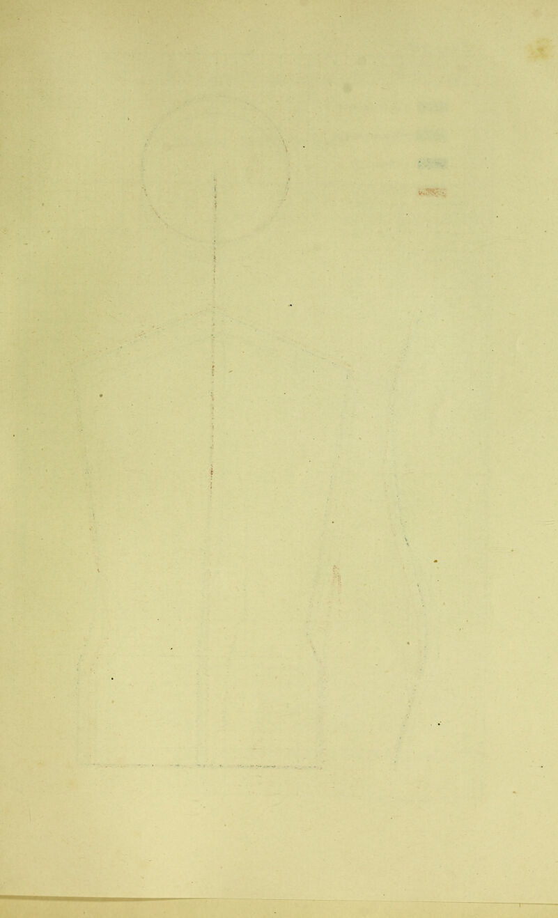 V . i. i i í ' I ' ? > T