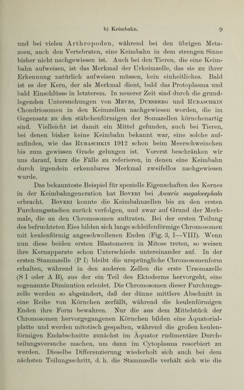 und bei vielen Arthropoden, während bei den übrigen Meta- zoen, auch den Vertebraten, eine Keimbahn in dem strengen Sinne bisher nicht nachgewiesen ist. Auch bei den Tieren, die eine Keim- bahn aufweisen, ist das Merkmal der Urkeimzelle, das sie zu ihrer Erkennung natürlich aufweisen müssen, kein einheitliches. Bald ist es der Kern, der als Merkmal dient, bald das Protoplasma und bald Einschlüsse in letzterem. In neuerer Zeit sind durch die grund- legenden Untersuchungen von Meves, Duesberg und Kubaschkin Chondriosomen in den Keimzellen nachgewiesen worden, die im Gegensatz zu den stäbchenförmigen der Somazellen körnchenartig sind. Vielleicht ist damit ein Mittel gefunden, auch bei Tieren, bei denen bisher keine Keimbahn bekannt war, eine solche auf- zufinden, wie das Kubaschkin 1912 schon beim Meerschweinchen bis zum gewissen Grade gelungen ist. Vorerst beschränken wir uns darauf, kurz die Fälle zu referieren, in denen eine Keimbahn durch irgendein erkennbares Merkmal zweifellos nachgewiesen wurde. Das bekannteste Beispiel für spezielle Eigenschaften des Kernes in der Keimbahngeneration hat Boveri bei Ascaris megalocephala erbracht. Boveri konnte die Keimbahnzellen bis zu den ersten Furchungsstadien zurück verfolgen, und zwar auf Grund der Merk- male, die an den Chromosomen auftraten. Bei der ersten Teilung des befruchteten Eies bilden sich lange schleifenförmige Chromosomen mit keulenförmig angeschwollenen Enden (Fig. 3, I—VIII). Wenn nun diese beiden ersten Blastomeren in Mitose treten, so weisen ihre Kernapparate schon Unterschiede untereinander auf. In der ersten Stammzelle (P I) bleibt die ursprüngliche Chromosomenform erhalten, während in den anderen Zellen die erste Ursomazelle (S I oder A B), aus der ein Teil des Ektoderms hervorgeht, eine sogenannte Diminution erleidet. Die Chromosomen dieser Furchungs- zelle werden so abgeändert, daß der dünne mittlere Abschnitt in eine Keihe von Körnchen zerfällt, während die keulenförmigen Enden ihre Form bewahren. Nur die aus dem Mittelstück der Chromosomen hervorgegangenen Körnchen bilden eine Äquatorial- platte und werden mitotisch gespalten, während die großen keulen- förmigen Endabschnitte zunächst im Äquator rudimentäre Durch- teilungsversuche machen, um dann im Cytoplasma resorbiert zu werden. Dieselbe Differenzierung wiederholt sich auoh bei dem nächsten Teilungsschritt, d. h. die Stammzelle verhält sich wie die