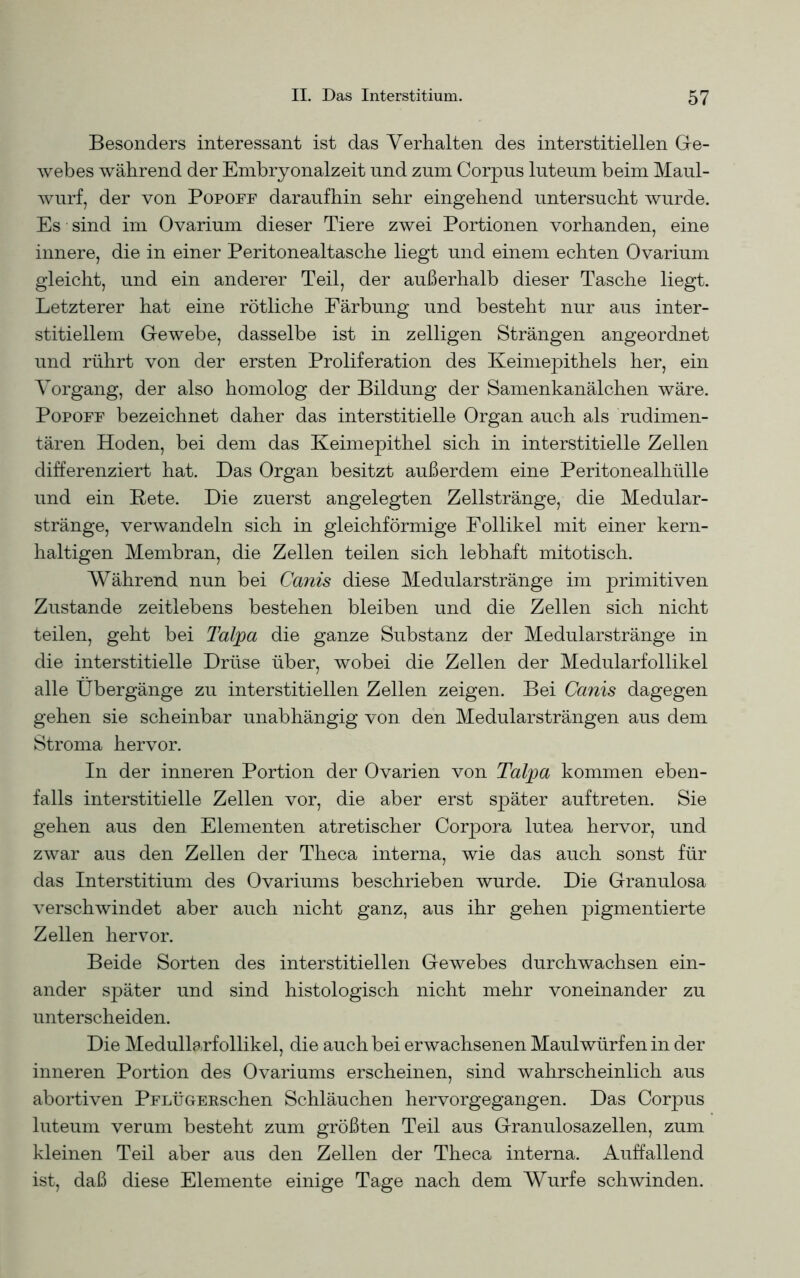 Besonders interessant ist das Verhalten des interstitiellen Ge- webes während der Embryonalzeit und zum Corpus luteum beim Maul- wurf, der von Popoff daraufhin sehr eingehend untersucht wurde. Es sind im Ovarium dieser Tiere zwei Portionen vorhanden, eine innere, die in einer Peritonealtasche liegt und einem echten Ovarium gleicht, und ein anderer Teil, der außerhalb dieser Tasche liegt. Letzterer hat eine rötliche Färbung und besteht nur aus inter- stitiellem Gewebe, dasselbe ist in zelligen Strängen angeordnet und rührt von der ersten Proliferation des Keimepithels her, ein Vorgang, der also homolog der Bildung der Samenkanälchen wäre. Popoff bezeichnet daher das interstitielle Organ auch als rudimen- tären Hoden, bei dem das Keimepithel sich in interstitielle Zellen differenziert hat. Das Organ besitzt außerdem eine Peritonealhülle und ein Pete. Die zuerst angelegten Zellstränge, die Medular- stränge, verwandeln sich in gleichförmige Follikel mit einer kern- haltigen Membran, die Zellen teilen sich lebhaft mitotisch. Während nun bei Cards diese Medularstränge im primitiven Zustande zeitlebens bestehen bleiben und die Zellen sich nicht teilen, geht bei Talpa die ganze Substanz der Medularstränge in die interstitielle Drüse über, wobei die Zellen der Medularfollikel alle Übergänge zu interstitiellen Zellen zeigen. Bei Canis dagegen gehen sie scheinbar unabhängig von den Medularsträngen aus dem Stroma hervor. In der inneren Portion der Ovarien von Talpa kommen eben- falls interstitielle Zellen vor, die aber erst später auftreten. Sie gehen aus den Elementen atretischer Corpora lutea hervor, und zwar aus den Zellen der Theca interna, wie das auch sonst für das Interstitium des Ovariums beschrieben wurde. Die Granulosa verschwindet aber auch nicht ganz, aus ihr gehen pigmentierte Zellen hervor. Beide Sorten des interstitiellen Gewebes durchwachsen ein- ander später und sind histologisch nicht mehr voneinander zu unterscheiden. Die Medullarfollikel, die auch bei erwachsenen Maulwürfen in der inneren Portion des Ovariums erscheinen, sind wahrscheinlich aus abortiven PFLÜGERschen Schläuchen hervorgegangen. Das Corpus luteum verum besteht zum größten Teil aus Granulosazellen, zum kleinen Teil aber aus den Zellen der Theca interna. Auffallend ist, daß diese Elemente einige Tage nach dem Wurfe schwinden.