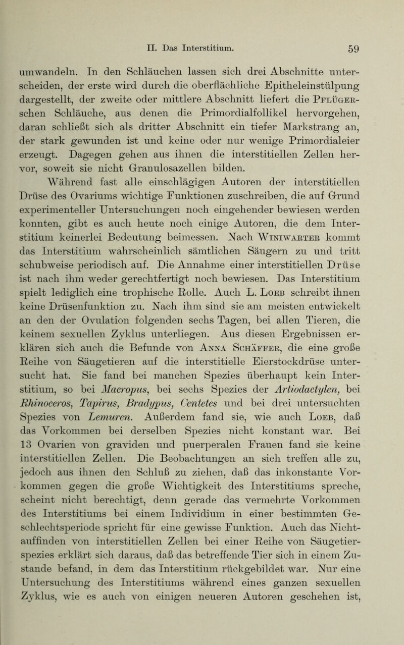 umwandeln. In den Schläuchen lassen sich drei Abschnitte unter- scheiden, der erste wird durch die oberflächliche Epitheleinstülpung dargestellt, der zweite oder mittlere Abschnitt liefert die Pflüger- schen Schläuche, aus denen die Primordialfollikel hervorgehen, daran schließt sich als dritter Abschnitt ein tiefer Markstrang an, der stark gewunden ist und keine oder nur wenige Primordialeier erzeugt. Dagegen gehen aus ihnen die interstitiellen Zellen her- vor, soweit sie nicht Granulosazellen bilden. Während fast alle einschlägigen Autoren der interstitiellen Drüse des Ovariums wichtige Funktionen zuschreiben, die auf Girund experimenteller Untersuchungen noch eingehender bewiesen werden konnten, gibt es auch heute noch einige Autoren, die dem Inter- stitium keinerlei Bedeutung beimessen. Nach Winiwarter kommt das Interstitium wahrscheinlich sämtlichen Säugern zu und tritt schubweise periodisch auf. Die Annahme einer interstitiellen Drüse ist nach ihm weder gerechtfertigt noch bewiesen. Das Interstitium spielt lediglich eine trophische Polle. Auch L. Loeb schreibt ihnen keine Drüsenfunktion zu. Nach ihm sind sie am meisten entwickelt an den der Ovulation folgenden sechs Tagen, bei allen Tieren, die keinem sexuellen Zyklus unterliegen. Aus diesen Ergebnissen er- klären sich auch die Befunde von Anna Schaffer, die eine große Peihe von Säugetieren auf die interstitielle Eierstockdrüse unter- sucht hat. Sie fand bei manchen Spezies überhaupt kein Inter- stitium, so bei Macropus, bei sechs Spezies der Artiodactylen, bei Rhinoceros, Tapir us, Bradypus, Centetes und bei drei untersuchten Spezies von Lemuren. Außerdem fand sie, wie auch Loeb, daß das Vorkommen bei derselben Spezies nicht konstant war. Bei 13 Ovarien von graviden und puerperalen Frauen fand sie keine interstitiellen Zellen. Die Beobachtungen an sich treffen alle zu, jedoch aus ihnen den Schluß zu ziehen, daß das inkonstante Vor- kommen gegen die große Wichtigkeit des Interstitiums spreche, scheint nicht berechtigt, denn gerade das vermehrte Vorkommen des Interstitiums bei einem Individium in einer bestimmten G-e- schlechtsperiode spricht für eine gewisse Funktion. Auch das Nicht- auffinden von interstitiellen Zellen bei einer Peihe von Säugetier- spezies erklärt sich daraus, daß das betreffende Tier sich in einem Zu- stande befand, in dem das Interstitium rückgebildet war. Nur eine Untersuchung des Interstitiums während eines ganzen sexuellen Zyklus, wie es auch von einigen neueren Autoren geschehen ist,