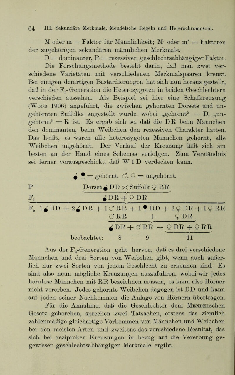 M oder m = Faktor für Männliclikeit; M' oder m' = Faktoren der zugehörigen sekundären männlichen Merkmale. D = dominanter, R = rezessiver, geschlechtsabhängiger Faktor. Die Forschungsmethode besteht darin, daß man zwei ver- schiedene Varietäten mit verschiedenen Merkmalspaaren kreuzt. Bei einigen derartigen Bastardierungen hat sich nun heraus gestellt, daß in der F2-Generation die Heterozygoten in beiden Geschlechtern verschieden aussahen. Als Beispiel sei hier eine Schafkreuzung (Wood 1906) angeführt, die zwischen gehörnten Dorsets und un- gehörnten Suffolks angestellt wurde, wobei „gehörnt“ = D, „un- gehörnt“ = R ist. Es ergab sich so, daß die DR, beim Männchen den dominanten, beim Weibchen den rezessiven Charakter hatten. Das heißt, es waren alle heterozygoten Männchen gehörnt, alle Weibchen ungehörnt. Der Verlauf der Kreuzung läßt sich am besten an der Hand eines Schemas verfolgen. Zum Verständnis sei ferner vorausgeschickt, daß W 1 D verdecken kann. 9 5 = gehörnt. (J, 9 = ungehörnt. P Dorset jDDx Suffolk $ RR F, # DR + $ DR F2 1^DD + 2^DR + 1CTRR+ 1 ? DD + 29 DR+ 19 RR Ö RR + 9 DR 0 DR + C? RR H- 9DRJ-9RR beobachtet: 8 9 11 Aus der F2-Generation geht hervor, daß es drei verschiedene Männchen und drei Sorten von Weibchen gibt, wenn auch äußer- lich nur zwei Sorten von jedem Geschlecht zu erkennen sind. Es sind also neun mögliche Kreuzungen auszuführen, wobei wir jedes hornlose Männchen mit RR bezeichnen müssen, es kann also Hörner nicht vererben. Jedes gehörnte Weibchen dagegen ist DD und kann auf jeden seiner Nachkommen die Anlage von Hörnern übertragen. Für die Annahme, daß die Geschlechter dem MENDELschen Gesetz gehorchen, sprechen zwei Tatsachen, erstens das ziemlich zahlenmäßige gleichartige Vorkommen von Männchen und Weibchen bei den meisten Arten und zweitens das verschiedene Resultat, das sich bei reziproken Kreuzungen in bezug auf die Vererbung ge- gewisser geschlechtsabhängiger Merkmale ergibt.