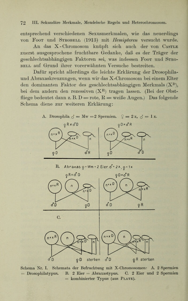 entsprechend verschiedenen Sexnsmerkmalen, wie das neuerdings von Foot und Strobell (1913) mit Hemijptei'en versucht wurde. An das X-Chromosom knüpft sich auch der von Castle zuerst ausgesprochene fruchtbare Gedanke, daß es der Träger der geschlechtsabhängigen Faktoren sei, was indessen Foot und Stro- bell auf Grund ihrer vorerwähnten Versuche bestreiten. Dafür spricht allerdings die leichte Erklärung der Drosophila- und Abraxaskreuzungen, wenn wir das X-Chromosom bei einem Elter den dominanten Faktor des geschlechtsabhängigen Merkmals (XD), bei dem andqrn den rezessiven (XR) tragen lassen. (Bei der Obst- fliege bedeutet dann z. B. D = rote, R = weiße Augen.) Das folgende Schema diene zur weiteren Erklärung: A. Drosophila <d = Mw = 2 Spermien. ^ = 2 x, J = 1 x. Schema Nr. I. Schemata der Befruchtung mit X-Chromosomen: A. 2 Spermien = Drosophilatypus. B. 2 Eier = Abraxastypus. C. 2 Eier und 2 Spermien = kombinierter Typus (aus Plate).