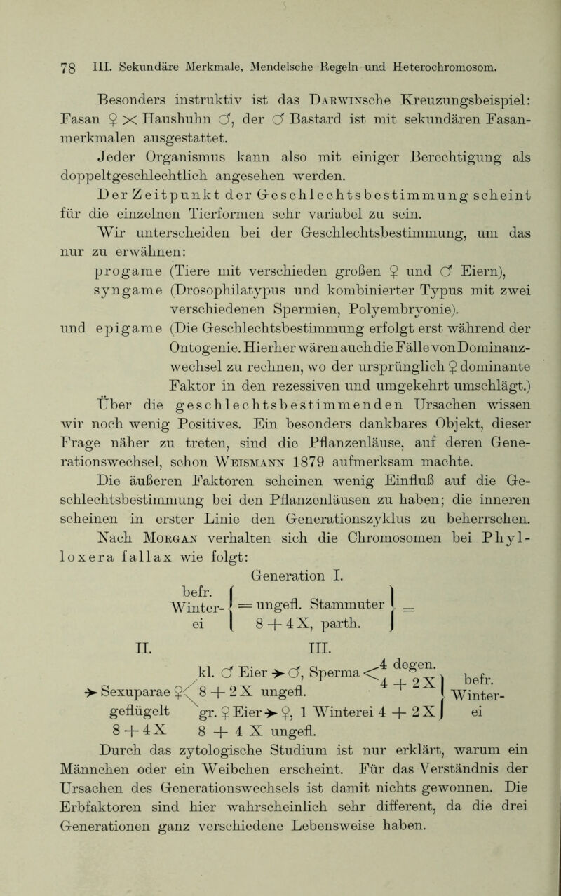 Besonders instruktiv ist das Darwinsch Kreuzungsbeispiel: Fasan $ X Hausbuhn (J, der C? Bastard ist mit sekundären Fasan- merkmalen ausgestattet. Jeder Organismus kann also mit einiger Berechtigung als doppeltgeschlechtlich angesehen werden. Der Zeitpunkt der Geschlechtsbestimmung scheint für die einzelnen Tierformen sehr variabel zu sein. Wir unterscheiden bei der Geschlechtsbestimmung, um das nur zu erwähnen: progame (Tiere mit verschieden großen § und C3 Eiern), syngame (Drosophilatypus und kombinierter Typus mit zwei verschiedenen Spermien, Polyembryonie). und epigame (Die Geschlechtsbestimmung erfolgt erst während der Ontogenie. Hierher wären auch die Fälle von Dominanz- wechsel zu rechnen, wo der ursprünglich § dominante Faktor in den rezessiven und umgekehrt umschlägt.) Über die geschlechtsbestimmenden Ursachen wissen wir noch wenig Positives. Ein besonders dankbares Objekt, dieser Frage näher zu treten, sind die Pflanzenläuse, auf deren Gene- rationswechsel, schon Weismann 1879 aufmerksam machte. Die äußeren Faktoren scheinen wenig Einfluß auf die Ge- schlechtsbestimmung bei den Pflanzenläusen zu haben; die inneren scheinen in erster Linie den Generationszyklus zu beherrschen. Hach Morgan verhalten sich die Chromosomen bei Phyl- loxera fallax wie folgt: Generation I. befr. ( I Winter- ' = ungefl. Stammuter [. _ ei l 8 fl- 4 X, parth. J II. III. kl. c? Eier > Ö, Sperma <* . befr ->► Sexuparae fl- 2 X ungefl. ' I 'Winter- geflügelt gr. $ Eier >• $, 1 Winterei 4 fl- 2 X j ei 8fl-4X 8fl-4X ungefl. Durch das zytologische Studium ist nur erklärt, warum ein Männchen oder ein Weibchen erscheint. Für das Verständnis der Ursachen des Generationswechsels ist damit nichts gewonnen. Die Erbfaktoren sind hier wahrscheinlich sehr different, da die drei Generationen ganz verschiedene Lebensweise haben.