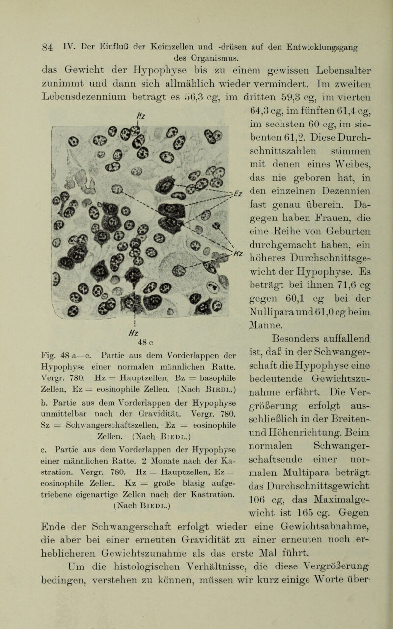 84 IV. Der Einfluß der Keimzellen und -drüsen auf den Entwicklungsgang des Organismus. das Gewicht der Hypophyse bis zu einem gewissen Lebensalter zunimmt und dann sich allmählich wieder vermindert. Im zweiten Lebensdezennium beträgt es 56,3 cg, im dritten 59,3 cg, im vierten 64,3 cg, im fünften 61,4 cg, © •e © 48 c Fig. 48 a—c. Partie aus dem Vorderlappen der Hypophyse einer normalen männlichen Ratte. Vergr. 780. Hz = Hauptzellen, Bz = basophile Zellen, Ez = eosinophile Zellen. (Nach Biedl.) b. Partie aus dem Vorderlappen der Hypophyse unmittelbar nach der Gravidität. Vergr. 780. Sz = Schwangerschaftszellen, Ez = eosinophile Zellen. (Nach Biedl.) c. Partie aus dem Vorderlappen der Hypophyse einer männlichen Ratte. 2 Monate nach der Ka- stration. Vergr. 780. Hz = Hauptzellen, Ez = eosinophile Zellen. Kz = große blasig aufge- triebene eigenartige Zellen nach der Kastration. (Nach Biedl.) im sechsten 60 cg, im sie- benten 61,2. Diese Durch- schnittszahlen stimmen mit denen eines Weibes, das nie geboren hat, in den einzelnen Dezennien fast genau überein. Da- gegen haben Frauen, die eine Reihe von Geburten durchgemacht haben, ein höheres Durchschnittsge- wicht der Hypophyse. Es beträgt bei ihnen 71,6 cg gegen 60,1 cg bei der Nullipara und 61,0 cg beim Manne. Besonders auffallend: ist, daß in der Schwanger- schaft die Hypophyse eine bedeutende Gewichtszu- nahme erfährt. Die Ver- größerung erfolgt aus- schließlich in der Breiten- und Höhenrichtung. Beim normalen Schwanger- schaftsende einer nor- malen Multipara beträgt das Durchschnittsgewicht 106 cg, das Maximalge- wicht ist 165 cg. Gegen Ende der Schwangerschaft erfolgt wieder eine Gewichtsabnahme, die aber bei einer erneuten Gravidität zu einer erneuten noch er- heblicheren Gewichtszunahme als das erste Mal führt. Um die histologischen Verhältnisse, die diese Vergrößerung bedingen, verstehen zu können, müssen wir kurz einige Worte über-