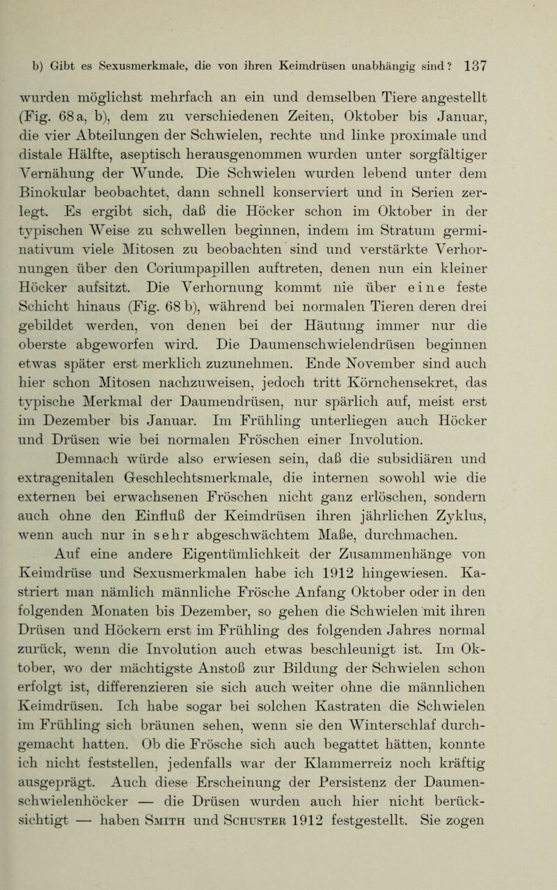 wurden möglichst mehrfach an ein und demselben Tiere angestellt (Fig. 68 a, b), dem zu verschiedenen Zeiten, Oktober bis Januar, die vier Abteilungen der Schwielen, rechte und linke proximale und distale Hälfte, aseptisch herausgenommen wurden unter sorgfältiger Yernähung der Wunde. Die Schwielen wurden lebend unter dem Binokular beobachtet, dann schnell konserviert und in Serien zer- legt. Es ergibt sich, daß die Höcker schon im Oktober in der typischen Weise zu schwellen beginnen, indem im Stratum germi- nativum viele Mitosen zu beobachten sind und verstärkte Verhor- nungen über den Coriumpapillen auftreten, denen nun ein kleiner Höcker aufsitzt. Die Verhornung kommt nie über eine feste Schicht hinaus (Fig. 68 b), während bei normalen Tieren deren drei gebildet werden, von denen bei der Häutung immer nur die oberste abgeworfen wird. Die Daumenschwielendrüsen beginnen etwas später erst merklich zuzunehmen. Ende November sind auch hier schon Mitosen nachzuweisen, jedoch tritt Körnchensekret, das typische Merkmal der Daumendrüsen, nur spärlich auf, meist erst im Dezember bis Januar. Im Frühling unterliegen auch Höcker und Drüsen wie bei normalen Fröschen einer Involution. Demnach würde also erwiesen sein, daß die subsidiären und extragenitalen Geschlechtsmerkmale, die internen sowohl wie die externen bei erwachsenen Fröschen nicht ganz erlöschen, sondern auch ohne den Einfluß der Keimdrüsen ihren jährlichen Zyklus, wenn auch nur in sehr abgeschwächtem Maße, durchmachen. Auf eine andere Eigentümlichkeit der Zusammenhänge von Keimdrüse und Sexusmerkmalen habe ich 1912 hingewiesen. Ka- striert man nämlich männliche Frösche Anfang Oktober oder in den folgenden Monaten bis Dezember, so gehen die Schwielen mit ihren Drüsen und Höckern erst im Frühling des folgenden Jahres normal zurück, wenn die Involution auch etwas beschleunigt ist. Im Ok- tober, wo der mächtigste Anstoß zur Bildung der Schwielen schon erfolgt ist, differenzieren sie sich auch weiter ohne die männlichen Keimdrüsen. Ich habe sogar bei solchen Kastraten die Schwielen im Frühling sich bräunen sehen, wenn sie den Winterschlaf durch- gemacht hatten. Ob die Frösche sich auch begattet hätten, konnte ich nicht feststellen, jedenfalls war der Klammerreiz noch kräftig ausgeprägt. Auch diese Erscheinung der Persistenz der Daumen- schwielenhöcker — die Drüsen wurden auch hier nicht berück- sichtigt — haben Smith und Schuster 1912 festgestellt. Sie zogen