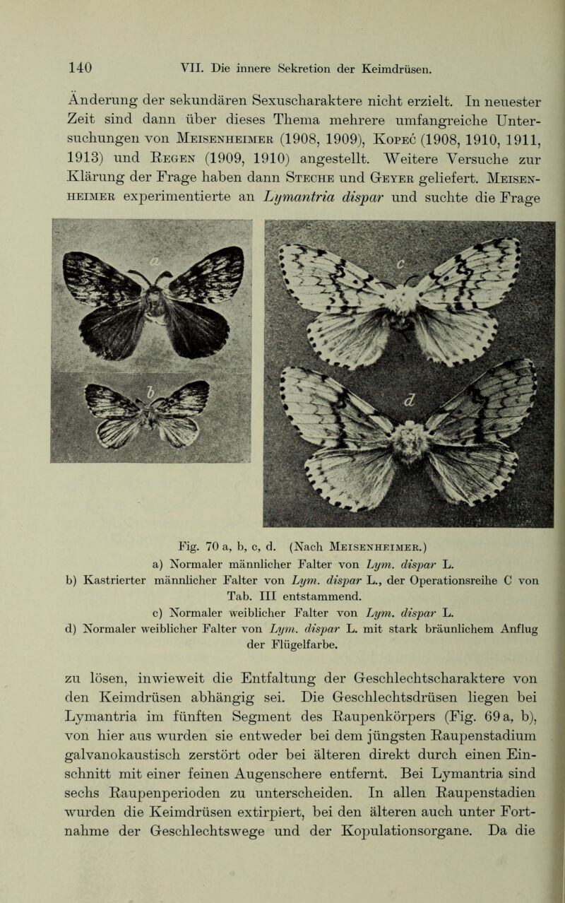 Änderung der sekundären Sexuscharaktere nicht erzielt. In neuester Zeit sind dann über dieses Thema mehrere umfangreiche Unter- suchungen von Meisenheimer (1908, 1909), Kopec (1908, 1910, 1911, 1913) und Hegen (1909, 1910) angestellt. Weitere Versuche zur Klärung der Frage haben dann Steche und Geyer geliefert. Meisen- heimer experimentierte an Lymantria dispar und suchte die Frage Fig. 70 a, b, c, d. (Nach Meisenheimer.) a) Normaler männlicher Falter von Lym. dispar L. b) Kastrierter männlicher Falter von Lym. dispar L., der Operationsreihe C von Tab. III entstammend. c) Normaler weiblicher Falter von Lym. dispar L. d) Normaler weiblicher Falter von Lym. dispar L. mit stark bräunlichem Anflug der Flügelfarbe. zu lösen, inwieweit die Entfaltung der Geschlechtscharaktere von den Keimdrüsen abhängig sei. Die Geschlechtsdrüsen liegen bei Lymantria im fünften Segment des Kaupenkörpers (Fig. 69 a, b), von hier aus wurden sie entweder bei dem jüngsten Raupenstadium galvanokaustisch zerstört oder bei älteren direkt durch einen Ein- schnitt mit einer feinen Augenschere entfernt. Bei Lymantria sind sechs Raupenperioden zu unterscheiden. In allen Raupenstadien wurden die Keimdrüsen extirpiert, bei den älteren auch unter Fort- nahme der Geschlechtswege und der Kopulationsorgane. Da die