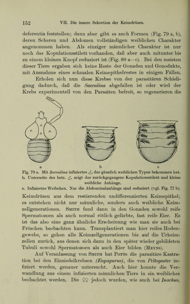 deferentia feststellen; dann aber gibt es auch Formen (Fig. 79 a, b), deren Scheren und Abdomen vollständigen weiblichen Charakter angenommen haben. Als einziger männlicher Charakter ist nur noch das Kopulationsstilett vorhanden, daß aber auch mitunter bis zu einem kleinen Knopf reduziert ist (Fig. 80 a—c). Bei den meisten dieser Tiere ergaben sich keine Beste der Gonaden und Gonodukte, mit Ausnahme eines schmalen Keimepithelrestes in einigen Fällen. Erholen sich nun diese Krebse von der parasitären Schädi- gung dadurch, daß die Sacculina abgefallen ist oder wird der Krebs experimentell von den Parasiten befreit, so regenerieren die Fig. 79 a. Mit Sacculina infiziertes das gänzlich weiblichen Typus bekommen hat. b. Unterseite des betr. rf, zeigt das zurückgegangene Kopulationsstilett und kleine weibliche Anhänge. c. Infiziertes Weibchen. Nur die Abdominalanhänge sind reduziert (vgl. Fig. 77 b). Keimdrüsen aus dem Testierenden undifferenzierten Keimepithel; es entstehen nicht nur männliche, sondern auch weibliche Keim- zellgenerationen. Smith fand dann in den Gonaden sowohl reife Spermatozoen als auch normal rötlich gefärbte, fast reife Eier. Es ist das also eine ganz ähnliche Erscheinung wie man sie auch bei Fröschen beobachten kann. Transplantiert man hier reifes Hoden- gewebe, so gehen alle Keimzellgenerationen bis auf die Urkeim- zellen zurück, aus denen sich dann in den später wieder gebildeten Tubuli sowohl Spermatozoen als auch Eier bilden (Meyns). Auf Veranlassung von Smith hat Potts die parasitäre Kastra- tion bei den Einsiedelkrebsen (Eupagurus), die von Peltogaster in- fiziert werden, genauer untersucht. Auch hier konnte die Ver- wandlung aus einem infizierten männlichen Tiere in ein weibliches beobachtet werden. Die §§ jedoch wurden, wie auch bei Inachus,
