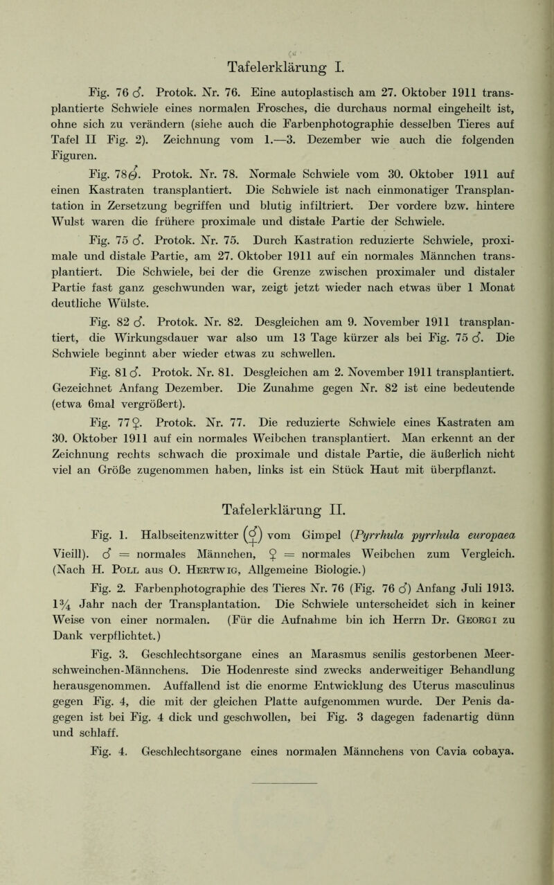 <5* ' Tafelerklärung I. Fig. 76 cf. Protok. Nr. 76. Eine autoplastisch am 27. Oktober 1911 trans- plantierte Schwiele eines normalen Frosches, die durchaus normal eingeheilt ist, ohne sich zu verändern (siehe auch die Farbenphotographie desselben Tieres auf Tafel II Fig. 2). Zeichnung vom 1.—3. Dezember wie auch die folgenden Figuren. Fig. 780. Protok. Nr. 78. Normale Schwiele vom 30. Oktober 1911 auf einen Kastraten transplantiert. Die Schwiele ist nach einmonatiger Transplan- tation in Zersetzung begriffen und blutig infiltriert. Der vordere bzw. hintere Wulst waren die frühere proximale und distale Partie der Schwiele. Fig. 75 cf. Protok. Nr. 75. Durch Kastration reduzierte Schwiele, proxi- male und distale Partie, am 27. Oktober 1911 auf ein normales Männchen trans- plantiert. Die Schwiele, bei der die Grenze zwischen proximaler und distaler Partie fast ganz geschwunden war, zeigt jetzt wieder nach etwas über 1 Monat deutliche Wülste. Fig. 82 cf. Protok. Nr. 82. Desgleichen am 9. November 1911 transplan- tiert, die Wirkungsdauer war also um 13 Tage kürzer als bei Fig. 75 cf. Die Schwiele beginnt aber wieder etwas zu schwellen. Fig. 81 cf. Protok. Nr. 81. Desgleichen am 2. November 1911 transplantiert. Gezeichnet Anfang Dezember. Die Zunahme gegen Nr. 82 ist eine bedeutende (etwa 6mal vergrößert). Fig. 77$. Protok. Nr. 77. Die reduzierte Schwiele eines Kastraten am 30. Oktober 1911 auf ein normales Weibchen transplantiert. Man erkennt an der Zeichnung rechts schwach die proximale und distale Partie, die äußerlich nicht viel an Größe zugenommen haben, links ist ein Stück Haut mit überpflanzt. Tafelerklärung II. Fig. 1. Halbseitenzwitter (cf) vom Gimpel (Pyrrhula pyrrhula europaea Vieill). cf = normales Männchen, $ = normales Weibchen zum Vergleich. (Nach H. Poll aus O. Hertwig, Allgemeine Biologie.) Fig. 2. Farbenphotographie des Tieres Nr. 76 (Fig. 76 cf) Anfang Juli 1913. 1% Jahr nach der Transplantation. Die Schwiele unterscheidet sich in keiner Weise von einer normalen. (Für die Aufnahme bin ich Herrn Dr. Georgi zu Dank verpflichtet.) Fig. 3. Geschlechtsorgane eines an Marasmus senilis gestorbenen Meer- schweinchen-Männchens. Die Hodenreste sind zwecks anderweitiger Behandlung herausgenommen. Auffallend ist die enorme Entwicklung des Uterus masculinus gegen Fig. 4, die mit der gleichen Platte aufgenommen wurde. Der Penis da- gegen ist bei Fig. 4 dick und geschwollen, bei Fig. 3 dagegen fadenartig dünn und schlaff.