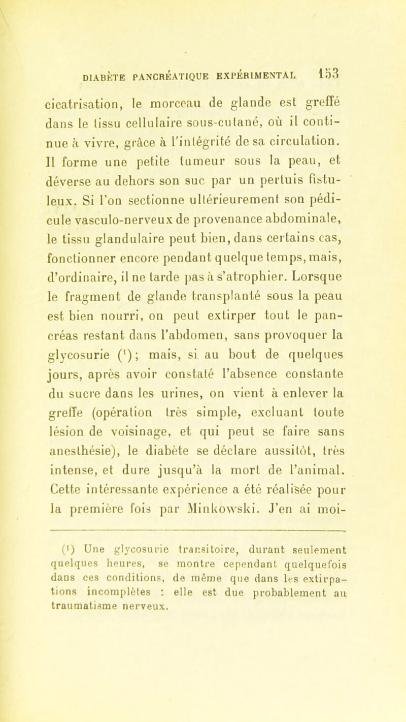 cicatrisation, le morceau de glande est greffé dans le tissu cellulaire sous-cutané, où il conti- nue à vivre, grâce à l’intégrité de sa circulation. Il forme une petite tumeur sous la peau, et déverse au dehors son suc par un pertuis fistu- leux. Si l’on sectionne ultérieurement son pédi- cule vasculo-nerveux de provenance abdominale, le tissu glandulaire peut bien, dans certains cas, fonctionner encore pendant quelque temps, mais, d’ordinaire, il ne tarde pas à s’atrophier. Lorsque le fragment de glande transplanté sous la peau est bien nourri, on peut extirper tout le pan- créas restant dans l’abdomen, sans provoquer la glycosurie (‘) ; mais, si au bout de quelques jours, après avoir constaté l’absence constante du sucre dans les urines, on vient à enlever la greffe (opération très simple, excluant toute lésion de voisinage, et qui peut se faire sans anesthésie), le diabète se déclare aussitôt, très intense, et dure jusqu’à la mort de l’animal. Cette intéressante exjiérience a été réalisée pour la première fois par MinUowski. J’en ai moi- (I) Une glycosurie transitoire, durant seulement quelques heures, se montre cependant quelquefois dans ces conditions, de même que dans les extirpa- tions incomplètes ; elle est due probablement au traumatisme nerveux.