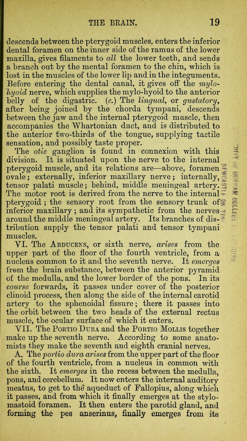descends between the pterygoid mnscles, enters the inferior dental foramen on the inner side of the ramus of the lower maxilla, gives filaments to all the lower teeth, and sends a branch out by the mental foramen to the chin, which is lost in the muscles of the lower lip and in the integuments. Before entering the dental canal, it gives off' the mylo- hyoid nerve, which supplies the mylo-hyoid to the anterior belly of the digastric, (c.) The lingual, or gustatory, after being joined by the chorda tympani, descends between the jaw and the internal pterygoid muscle, then accompanies the Whartonian duct, and is distributed to the anterior two-thirds of the tongue, supplying tactile sensation, and possibly taste proper. The otic ganglion is found in connexion with this division. It is situated upon the nerve to the internal pterygoid muscle, and its relations are—above, foramen ovale; externally, inferior maxillary nerve ; internally, tensor palati muscle; behind, middle meningeal artery. The motor root is derived from the nerve to the internal pterygoid ; the sensory root from the sensory trunk of inferior maxillary ; and its sympathetic from the nerves around the middle meningeal artery. Its branches of dis- tribution supply the tensor palati and tensor tympani muscles. YI. The Abducexs, or sixth nerve, arises from the upper part of the floor of the fourth ventricle, from a nucleus common to it and the seventh nerve. It emerges from the brain substance, between the anterior pyramid of the medulla, and the lower border of the pons. In its course forwards, it passes under cover of the posterior clinoid process, then along the side of the internal carotid artery to the sphenoidal fissure; there it passes into the orbit between the two heads of the external rectus muscle, the ocular surface of which it enters. YII. The Poutio Duea and the Poetio Mollis together make up the seventh nerve. According to some anato- mists they make the seventh and eighth cranial nerves. A. The jportio dura arises from the upper part of the floor of the fourth ventricle, from a nucleus in common with the sixth. It emerges in the recess between the medulla, pons, and cerebellum. It now enters the internal auditory meatus, to get to the aqueduct of Fallopius, along which it passes, and from which it finally emerges at the stylo- mastoid foramen. It then enters the parotid gland, and forming the pes anserinus, finally emerges from its U >10 m ■ \(\