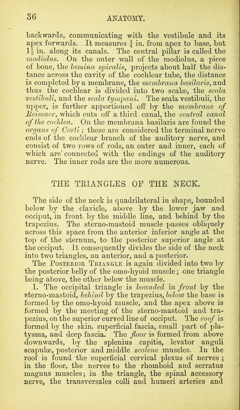 backwards, communicating with the vestibule and its apex forwards. It measures ^ in. from apex to base, but 1^ in. along its canals. The central pillar is called the modiolus. On the outer wall of the modiolus, a piece of bone, the lamina s]3iralis, projects about half the dis- tance across the cavity of the cochlear tube, the distance is completed by a membrane, the memhrana hasilaris, and thus the cochlear is divided into two scalae, the scala vestihuli, and the scala tympani. The scala vestibuii, the upper, is further apportioned off by the membrane of Meissner, which cuts off a third canal, the central canal of the cochlea. On the membrana basilaris are found the organs of Gorti; these are considered the terminal nerve ends of the cochlear branch of the auditory nerve, and consist of two rows of rods, an outer and inner, each of which are connected with the endings of the auditory nerve. The inner rods are the more numerous. THE TRIANGLES OF THE NECK. The side of the neck is quadrilateral in shape, bounded below by the clavicle, above by the lower jaw and occiput, in front by the middle line, and behind by the trapezius. The sterno-mastoid muscle passes obliquely across this space from the anterior inferior angle at the top of the sternum, to the posterior sui^erior angle at the occiput. It consequently divides the side of the neck into two triangles, an anterior, and a posterior. The PosTEmoR Triangle is again divided into two by the posterior belly of the omo-hyoid muscle; one triangle being above, the other below the muscle. I. The occipital triangle is bounded in front by the sterno-mastoid, behind by the trapezius, below the base is formed by the omo-hyoid muscle, and the apex above is formed by the meeting of the sterno-mastoid and tra- pezius, on the superior curved line of occiput. The roof is formed by the skin, superficial fascia, small part of pla- tysma, and deep fascia. The floor is formed from above downwards, by the splenius capitis, levator anguli scapulae, posterior and middle scedene muscles. In the roof is found the superficial cervical plexus of nerves ; in the floor, the nerves to the rhomboid and serratus magnus muscles; in the triangle, the spinal accessory nerve, the transversales colli and humeri arteries and