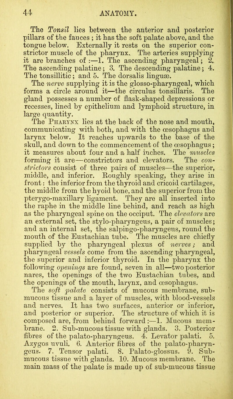 The Tonsil lies between the anterior and posterior pillars of the fauces ; it has the soft palate above, and the tongue below. Externally it rests on the superior con- strictor muscle of the pharynx.. The arteries supplying it are branches of :—1. The ascending pharyngeal; 2. The ascending palatine; 3. The descending palatine; 4. The tonsillitic; and 5. The dorsalis lingua. The nerve supplying it is the glosso-pharyngeal, which forms a circle around it—the circulus tonsillaris. The gland possesses a number of flask-shaped depressions or recesses, lined by epithelium and lymphoid structure, in large quantity. The Pharynx lies at the back of the nose and mouth, communicating with both, and with the oesophagus and larynx below. It reaches upwards to the base of the skull, and down to the commencement of the oesophagus; it measures about four and a half inches. The muscles forming it are—constrictors and elevators. The con- strictors consist of three pairs of muscles—the superior, middle, and inferior. Roughly speaking, they arise in front: the inferior from the thyroid and cricoid cartilages, the middle from the hyoid bone, and the superior from the pterygo-maxillary ligament. They are all inserted into the raphe in the middle line behind, and reach as high as the pharyngeal spine on the occiput. The elevators are an external set, the stylo-pharyngeus, a pair of muscles; and an internal set, the salpingo-pharyngeus, round the mouth of the Eustachian tube. The muscles are chiefly supplied by the pharyngeal plexus of nerves; and pharyngeal vessels come from the ascending pharyngeal, the superior and inferior thyroid. In the pharynx the following openings are found, seven in all—two posterior nares, the openings of the two Eustachian tubes, and the openings of the mouth, larynx, and oesophagus. The soft 2^cdcLte consists of mucous membrane, sub- mucous tissue and a layer of muscles, with blood-vessels and nerves. It has two surfaces, anterior or inferior, and posterior or superior. The structure of which it is composed are, from behind forward :—1. Mucous mem- brane. 2. Sub-mucous tissue with glands. 3. Posterior flbres of the palato-pharyngeus. 4. Levator palati. 5. Azygos uvuli. 6. Anterior fibres of the palato-pharyn- geus. 7. Tensor palati. 8. Palato-glossus. 9. Sub- mucous tissue with glands. 10. Mucous membrane. The main mass of the palate is made up of sub-mucous tissue