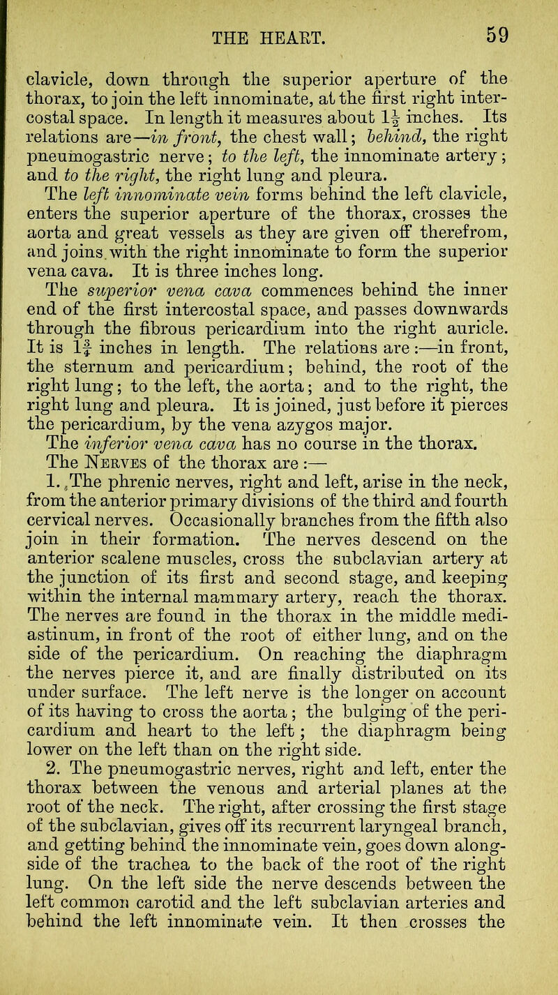 clavicle, down throagh the superior aperture of the thorax, to join the left innominate, at the first right inter- costal space. In length it measures about 1^ inches. Its relations are—in front, the chest wall; behind, the right pneumogastric nerve; to the left, the innominate artery ; and to the right, the right lung and pleura. The left innominate vein forms behind the left clavicle, enters the superior aperture of the thorax, crosses the aorta and great vessels as they are given off therefrom, and joins, with the right innominate to form the superior vena cava. It is three inches long. The superior vena cava commences behind the inner end of the first intercostal space, and passes downwards through the fibrous pericardium into the right auricle. It is If inches in length. The relations are :—in front, the sternum and pericardium; behind, the root of the right lung; to the left, the aorta; and to the right, the right lung and pleura. It is joined, just before it pierces the pericardium, by the vena azygos major. The inferior vena cava has no course in the thorax. The Nerves of the thorax are :— 1. ,The phrenic nerves, right and left, arise in the neck, from the anterior primary divisions of the third and fourth cervical nerves. Occasionally branches from the fifth also join in their formation. The nerves descend on the anterior scalene muscles, cross the subclavian artery at the junction of its first and second stage, and keeping within the internal mammary artery, reach the thorax. The nerves are found in the thorax in the middle medi- astinum, in front of the root of either lung, and on the side of the pericardium. On reaching the diaphragm the nerves pierce it, and are finally distributed on its under surface. The left nerve is the longer on account of its having to cross the aorta; the bulging of the peri- cardium and heart to the left; the diaphragm being lower on the left than on the right side. 2. The pneumogastric nerves, right and left, enter the thorax between the venous and arterial planes at the root of the neck. The right, after crossing the first stage of the subclavian, gives off its recurrent laryngeal branch, and getting behind the innominate vein, goes down along- side of the trachea to the back of the root of the right lung. On the left side the nerve descends between the left common carotid and the left subclavian arteries and behind the left innominate vein. It then crosses the