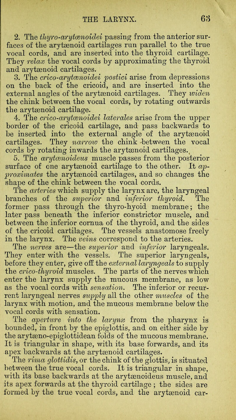 2. The thyro-arytcenoidei passing from the anterior sur- faces of the arytsenoid cartilages run parallel to the true vocal cords, and are inserted into the thyroid cartilage. They relax the vocal cords by approximating the thyroid and aryteenoid cartilages. 3. The crico-arytcenoidei postici arise from depressions on the back of the cricoid, and are inserted into the external angles of the arytenoid cartilages. They widen the chink between the vocal cords, by rotating outwards the arytaenoid cartilage. 4. The crico-arytcenoidei laterales arise from the upper border of the cricoid cartilage, and pass backwards to be inserted into the external angle of the arytaenoid cartilages. They narrow the chink ^between the vocal cords by rotating inwards the arytasnoid cartilages.^ 5. The arytcenoideus muscle passes from the posterior surface of one arytaenoid cartilage to the other. It ap- proximates the arytaenoid cartilages, and so changes the shape of the chink between the vocal cords. The arteries which supply the larynx are, the laryngeal branches of the superior and inferior thyroid. The former pass through the thyro-hyoid membrane; the later pass beneath the inferior constrictor muscle, and between the inferior cornua of the thyroid, and the sides of the cricoid cartilages. The vessels anastomose freely in the larynx. The veins correspond to the arteries. The nerves are—the superior and inferior laryngeals. They enter with the vessels. The superior laryngeals, before they enter, give off the external laryngeals to supply the crico-thyroid muscles. The parts of the nerves which enter the larynx supply the mucous membrane, as low as the vocal cords with sensation. The inferior or recur- rent laryngeal nerves supply all the other muscles of the larynx with motion, and the mucous membrane below the vocal cords with sensation. The aperture into the larynx from the pharynx is bounded, in front by the epiglottis, and on either side by the arytasno-epiglottidean folds of the mucous membrane. It is triangular in shape, with its base forwards, and its apex backv/ards at the arytasnoid cartilages. The rima glottidis, or the chink of the glottis, is situated between the true vocal cords. It is triangular in shape, with its base backwards at the aryteenoideus muscle, and its apex forwards at the thyroid cartilage ; the sides are formed by the true vocal cords, and the arytEenoid car-