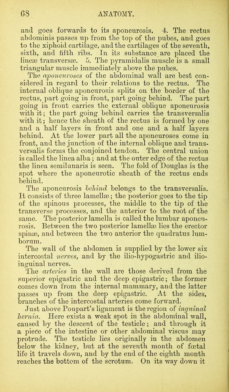 and goes forwards to its aponeurosis, 4. The rectus abdominis passes up from the top of the pubes, and goes to the xiphoid cartilage, and the cartilages of the seventh, sixth, and fifth ribs. In its substance are placed the linern transversae. 5. The pyramidalis muscle is a small triangular muscle immediately above the pubes. The aponeuroses of the abdominal wall are best con- sidered in regard to their relations to the rectus. The internal oblique aponeurosis splits on the border of the rectus, part going in front, part going behind. The part going in front carries the external oblique aponeurosis with it; the part going behind carries the transversalis with it; hence the sheath of the rectus is formed by one and a half layers in front and one and a half layers behind. At the lower part all the ai^oneuroses come in front, and the junction of the internal oblique and trans- versalis forms the conjoined tendon. The central union is called the linea alba ; and at the outer edge of the rectus the linea semilunaris is seen. The fold of Douglas is the spot where the aponeurotic sheath of the rectus ends behind. The aponeurosis heliincl belongs to the transversalis. It consists of three lamellae; the posterior goes to the tip of the spinous processes, the middle to the tip of the transverse processes, and the anterior to the root of the same. The posterior lamella is called the lumbar aponeu- rosis. Between the two posterior lamellae lies the erector spinae, and between the two anterior the quadratus lum- borum. The wall of the abdomen is supplied by the lower six intercostal nerves, and by the ilio-hypogastric and ilio- inguinal nerves. The arteries in the wall are those derived from the superior epigastric and the deep epigastric; the former comes down from the internal mammary, and the latter passes up from the deep epigastric. At the sides, branches of the intercostal arteries come forward. Just above Poupart’s ligament is the region of inguinal hernia. Here exists a weak spot in the abdominal wall, caused by the descent of the testicle ; and through it a piece of the intestine or other abdominal viscus may protrude. The testicle lies originally in the abdomen below the kidney, but at the seventh month of foetal life it travels down, and by the end of the eighth month reaches the bottom of the scrotum. On its way down it