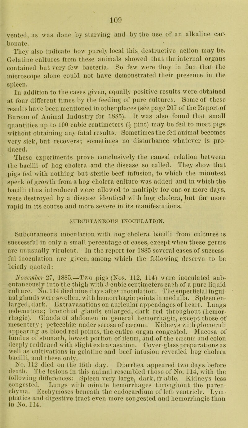 100 voiited, as was done by starving and by the use of an alkaline car- bonate. They also indicate how i)urely local this destructive action may be. Gelatine cultures from these animals showed that the internal organs contained but very few bacteria. So few were they in fact that the microscope alone could not have demonstrated their presence in the spleen. In addition to the cases given, equally positive results were obtained at four diflerent times by the feeding of pure cultures. Some of these results have been mentioned in other places (see page 207 of the Keport of Bureau of Animal Industry for 188.5). It was also found that small quantities up to 100 cubic centimeters pint) may be fed to most pigs without obtaining any fatal results. Sometimes the fed animal becomes very sick, but recovers; sometimes no disturbance whatever is pro- duced. These experiments prove conclusively the causal relation betweeu the bacilli of hog cholera and the disease so called. They show that pigs fed with nothing but sterile beef infusion, to which the minutest speck of growth from a hog cholera culture was added and in which the bacilli thus introduced were allowed to multiply for one or more days, were destroyed by a disease identical with hog cholera, but far more rapid in its course and more severe in its manifestations. SUBCUTANEOUS INOCULATION. Subcutaneous inoculation with hog cholera bacilli from cultures is successful in only a small percentage ot cases, except when these germs are unusually virulent. In the report for 1885 several cases of success- ful inoculation are given, among which the following deserve to be briefly quoted: November 27, 1885.—Two pigs (Nos. 112, 114) were inoculated sub- cutaneously into the thigh with 3 cubic centimeters each of a pure liquid culture. No. 114 died nine days after inoculation. The superficial ingui- nal glands were swollen, with hemorrhagic points in medulla. Spleen en- larged, dark. Extravasations on auricular aj)pendages of heart. Lungs oedematous; bronchial glands enlarged, dark red throughout (hemor- rhagic). Glands of abdomen in general hemorrhagic, exce[)t those of mesentery ; petecchiai under serosa of caecum. Kidneys with glomeruli appearing as blood-red points, the entire organ congested. IMucosa of fundus of stomach, lowest portion of ileum, and of the emeum and colon deeply reddened with slight extravasation. Cover-glass preparations as well as cultivations in gelatine and beef infusion revealed hog cholera bacilli, and these oidy. No. 112 died oji the 15th day. Diarrhea appeared two days before death. The lesions in this animal resembled those of No. 114, with the following differences: Spleen very large, dark, friable. Kidneys less congested. Lungs with minute hemorrhages throughout the paren- chyma. hlcchymoses beneath the endocardium of left ventricle. Ljun- i>hatics and digestive tract even more congested and hemorrhagic than