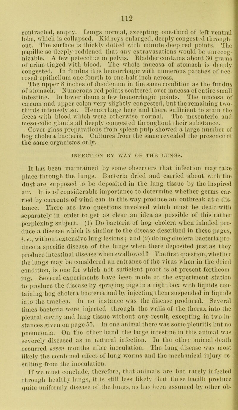 contracted, empty. Lungs norma], excepting one-tliird of left ventral lobe, which is collapsed. Kidneys enlarged, deeply congestial thrungh- ont. The surface is thickly dotted with minute deep red points. The papillm so deeply reddened that any extravasations would be unrecog- nizable. A few petecchim in pelvis. Bladder contains about 30 grams of urine tinged with blood. The whole mucosa of stomach is deeply congested. In fundus it is hemorrhagic with numerous patches of nec- rosed epithelium one-fourth to one-half inch across. The upper 8 inches of duodenum in the same condition as the fundus of stomach. Numerous red points scattered over mucosa of entire small intestine. In lower ileum a few hemorrhagic points. The mucosa of cmcuin and upper colon very slightly congested, but the remaining two- thirds intensely so. Hemorrhage here and there sufficient to stain the feces with blood which were otherwise normal. The mesenteric and meso-colic glands all deeply congested throughout their substance. Cover-glass pre[)arations from spleen pulp showed a large number of hog cholera bacteria. Cultures from the same revealed the presence of the same organisms only. INFECTION BY WAY OF THE LUNGS. It has been maintained by some observers that infection may take place through the lungs. Bacteria dried and carried about with the dust are supposed to be deposited in the lung tissue by the inspired air. It is of considerable importance to determine whether germs car- ried by currents of wind can in this way produce an outbreak at a dis- tance. There are two questions involved which must be dealt with separately in order to get as clear an idea as possible of this rather perplexing subject. (1) Do bacteria of hog cholera when inhaled pro- duce a disease which is similar to the disease described in these pages, i. c., without extensive lung lesions ; and (_}) do hog cholera bacteria pro- duce a specific disease of the lungs when there deposited just as they produce intestinal disease when swallowed ? The first question, whethi r the lungs may be considered an entrance of the virus when in the dried condition, is one for which not sufficient proof is at present forthcom ing. Several experiments have been made at the experiment station to produce the disease by spraying pigs in a tight box with liquids con- taining hog cholera bacteria and by injecting them suspended in liquids into the trachea. In no instance was the disease produced. Several times bacteria were injected through the walls of the thorax into the pleural cavity and lung tissue without any result, excepting in two in- stances given on page 55. In one animal there was some pleuritis but no pneumonia. On the other hand the large intestine in this animal was severely diseased as in natural infection. In the other animal death occurred seven months after inoculation. The lung disease was most likely the combbied effect of lung worms and the mechanical injury re- sulting from the inoculation. If we must conclude, therefore, that animals are but rarely infected thi'ough healthy lungs, it is still less likely that those, bacilli produce (juite uniformly disease of the lungs, as has i,eou assumed by other oh-