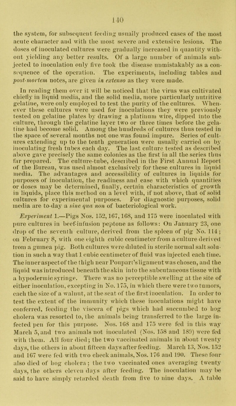 the system, for subsequent feeding usually produced cases of the most acute character and with the most severe and exteusiv^e lesious. The doses of inoculated cultures were gradually increased in quantity with- out yielding any better results. Of a large number of animals sub- jected to inoculation only five took the disease unmistakably as a con- sequence of the operation. The experiments, including tables and post-mortem notes, are given in extenso as they were made. In reading them over it will be noticed that the virus was cultivated (diiefly in liquid media, and the solid media, more particularly nutritive gelatine, were only employed to test the purity of the cultures. When- ever these cultures were used for inoculations they were previously tested on gelatine plates by drawing a i)latinum wire, dipped into the (ailture, through the gelatine layer two or three times before the gela- tine had become solid. Among the hundreds of cultures thus tested in the space of several months not one was found impure. Series of cult- ures extending up to the tenth generation w^ere usually carried on by inoculating fresh tubes each day. The last culture tested as described above gave precisely the same colonies as the first in all the series thus far prepared. The culture-tube, desciibed in the First Annual Iteport of the Bureau, was used almost exclusively for these cultures in liquid media. The advantages and accessibility of cultures in liquids for ])urposes of inoculation, the readiness and ease with which quantities or doses may be determined, finally, certain characteristics of growth in liquids, i)lace this method on a level with, if not above, that of solid cultures for experimental purposes. For diagnostic purposes, solid media are to-day a sine qua non of bacteriological work. Experiment 1.—Pigs Nos. 152,1G7,168, and 175 were inoculated with pure cultures in beef-infusion peptone as follows: On Januaiy 23, one droi) of the seventh culture, derived from the spleen of pig No. 114; on February 8, with one eighth cubic centimeter from a culture derived Irom a guinea pig. Both cultures were diluted in sterile normal salt solu- tion in such a way that 1 cubic centimeter of fluid was injected each time. The inner aspectof the thigh near Poupart’sligameut was chosen, and the liquid was introduced beneath the skin into the subcutaneous tissue with a hypodermic syringe. There was no perceptible swelling at the site of either inoculation, excepting in No. 175, in which there were two tumors, each the size of a walnut, at the seat of the first inoculation. In order to test the extent of the immunity which these inoculations might have conferred, I’eeding the viscera of i)igs which had succumbed to hog cholera was resorted to, the animals being transferred to the large in- fected ])eii for this purpose. Nos. 168 and 175 were fed in this way Marchs, and two animals not inoculated (Nos. 158 and 180) were fed with them. All four died; the two vaccinated animals in about twenty days, the others in about fifteen days after feeding. March 13, Nos. 152 and 167 were fed with two check animals. Nos. 176 and 100. These four also died of hog cholera ; the two vaccinated ones averaging twenty days, the others eleN on days after feeding. The inoculation may be said to have sim])ly retarded death from five to nine days. A table